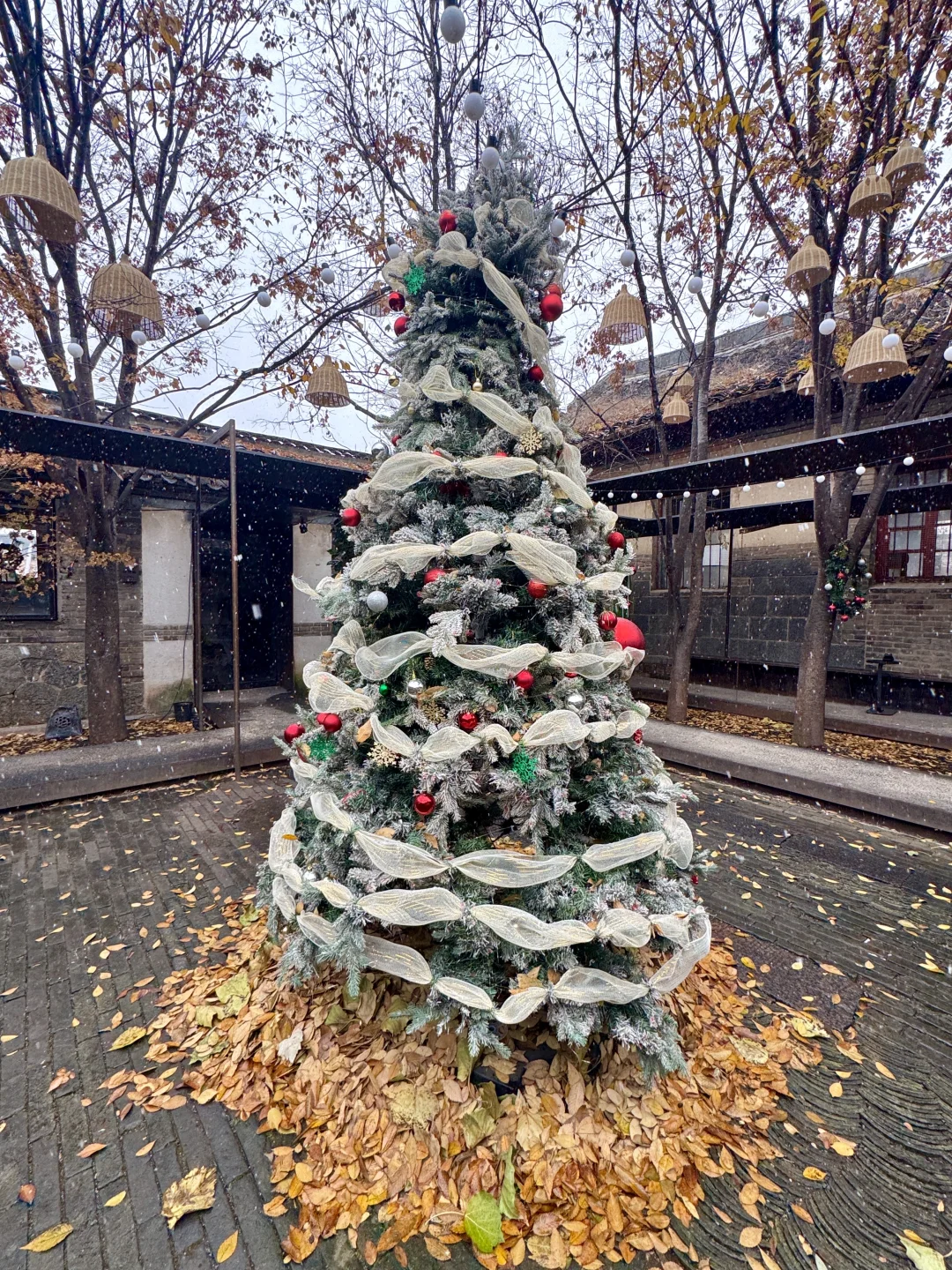 烟台12.13实况！暴雪中的烟台已经美疯了🎄…