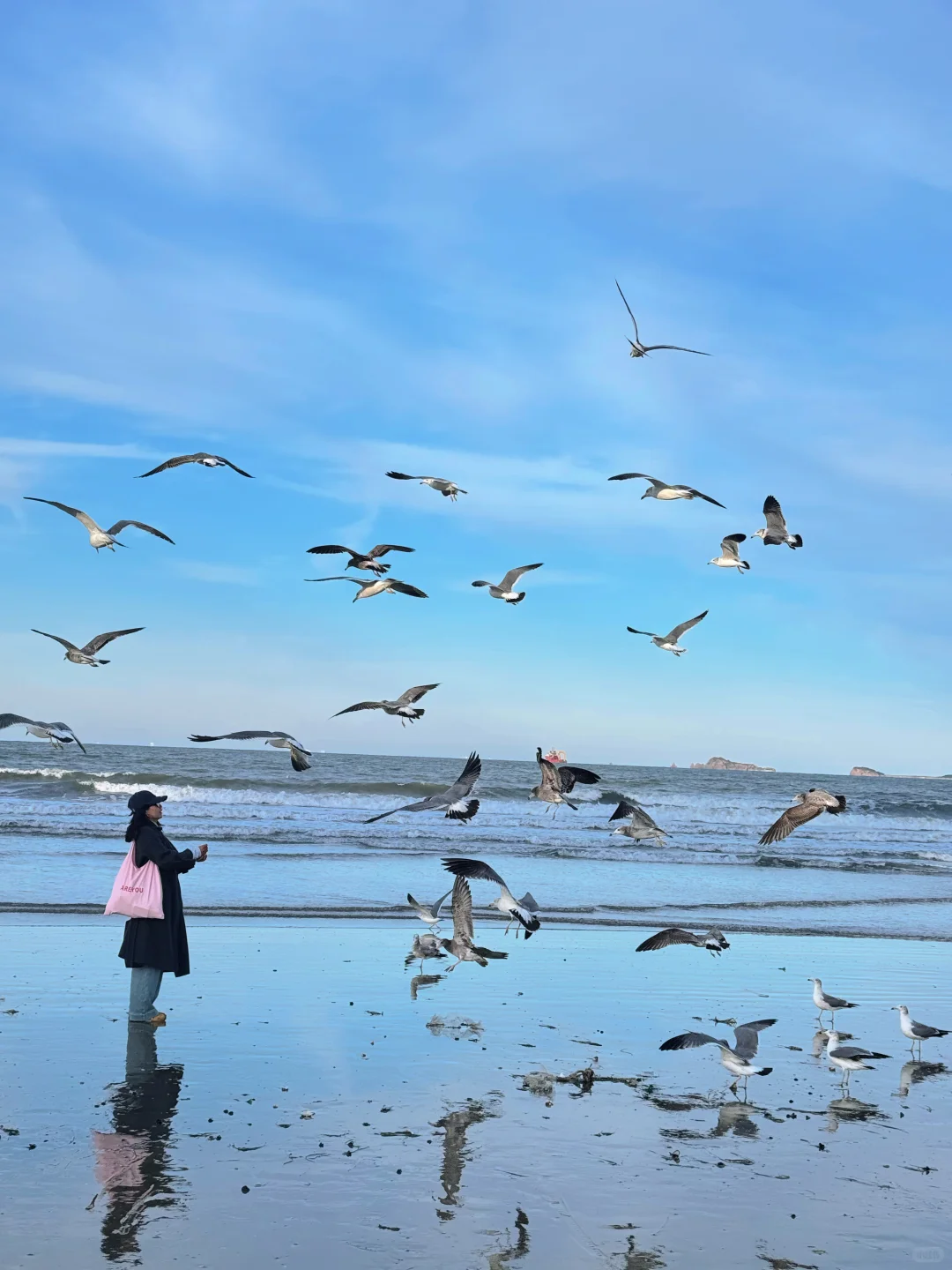 为了这18张照片特意飞了一趟烟台！！附机位！