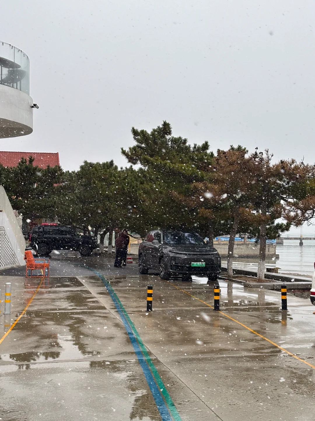 12月底之前烟台大雪基本无望了 奔一月去了