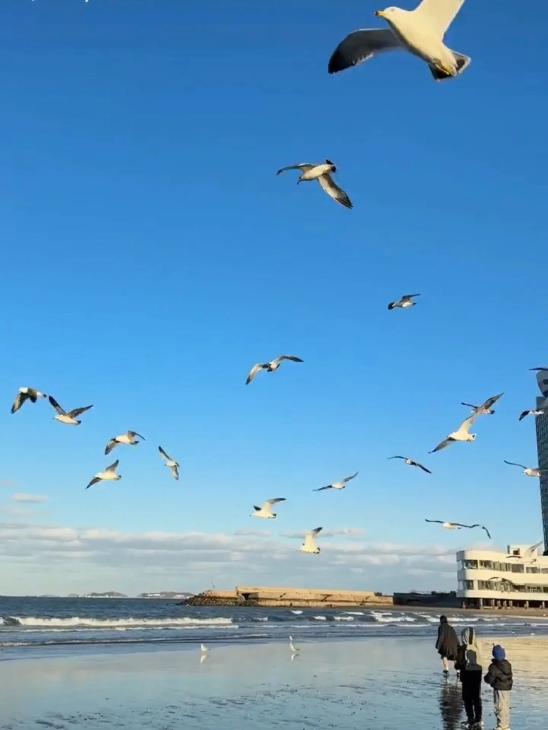 04女大新年旅行第二站📍烟台|路线分享~