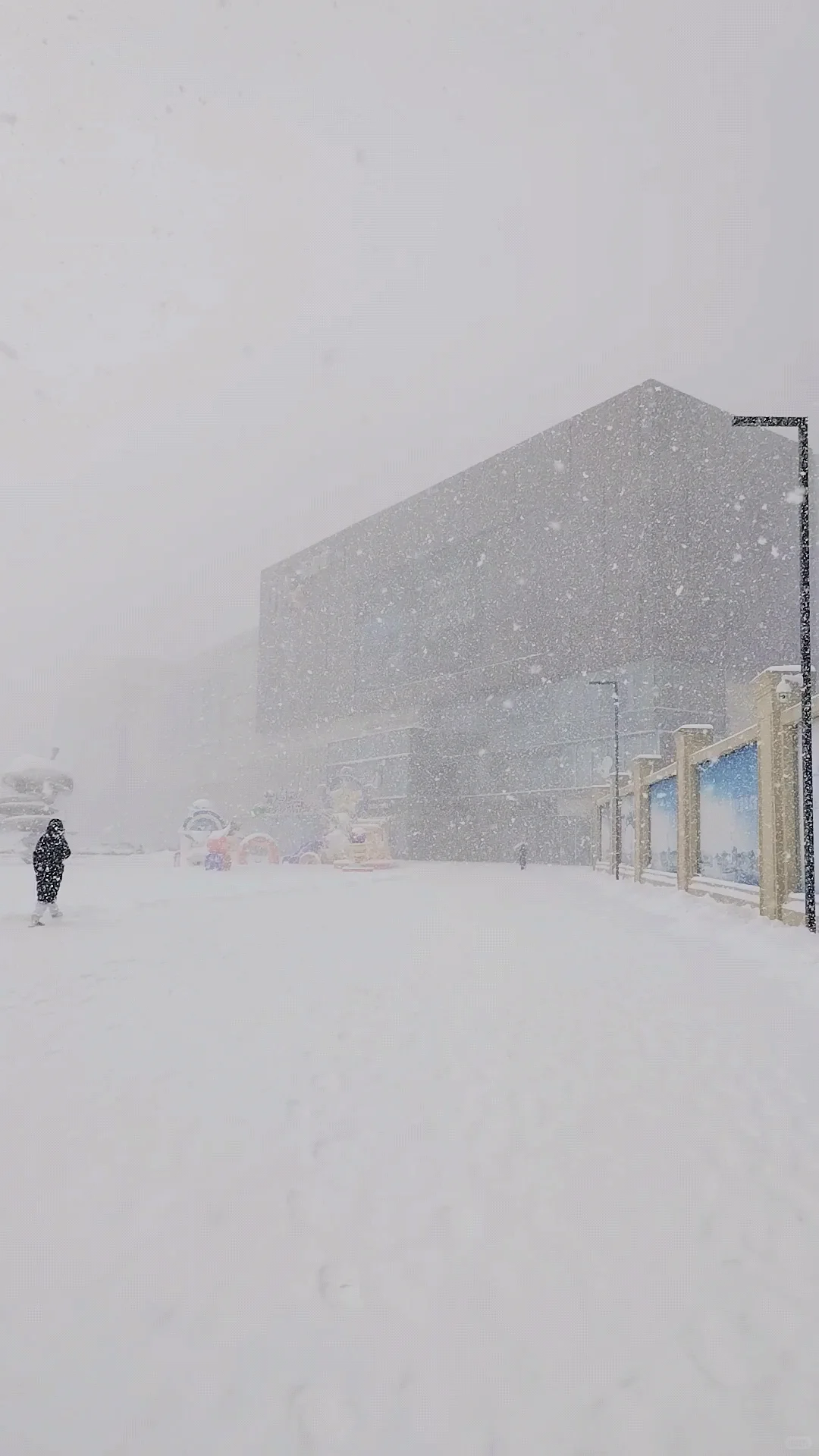 2025年1月9日烟台大雪实景图，坐标莱山