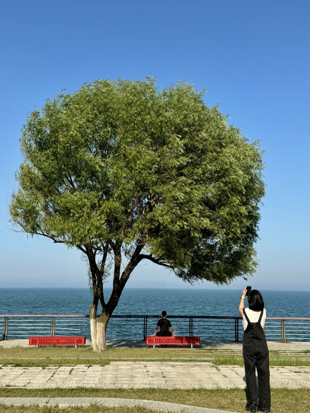 已经开始怀念烟台的夏天了