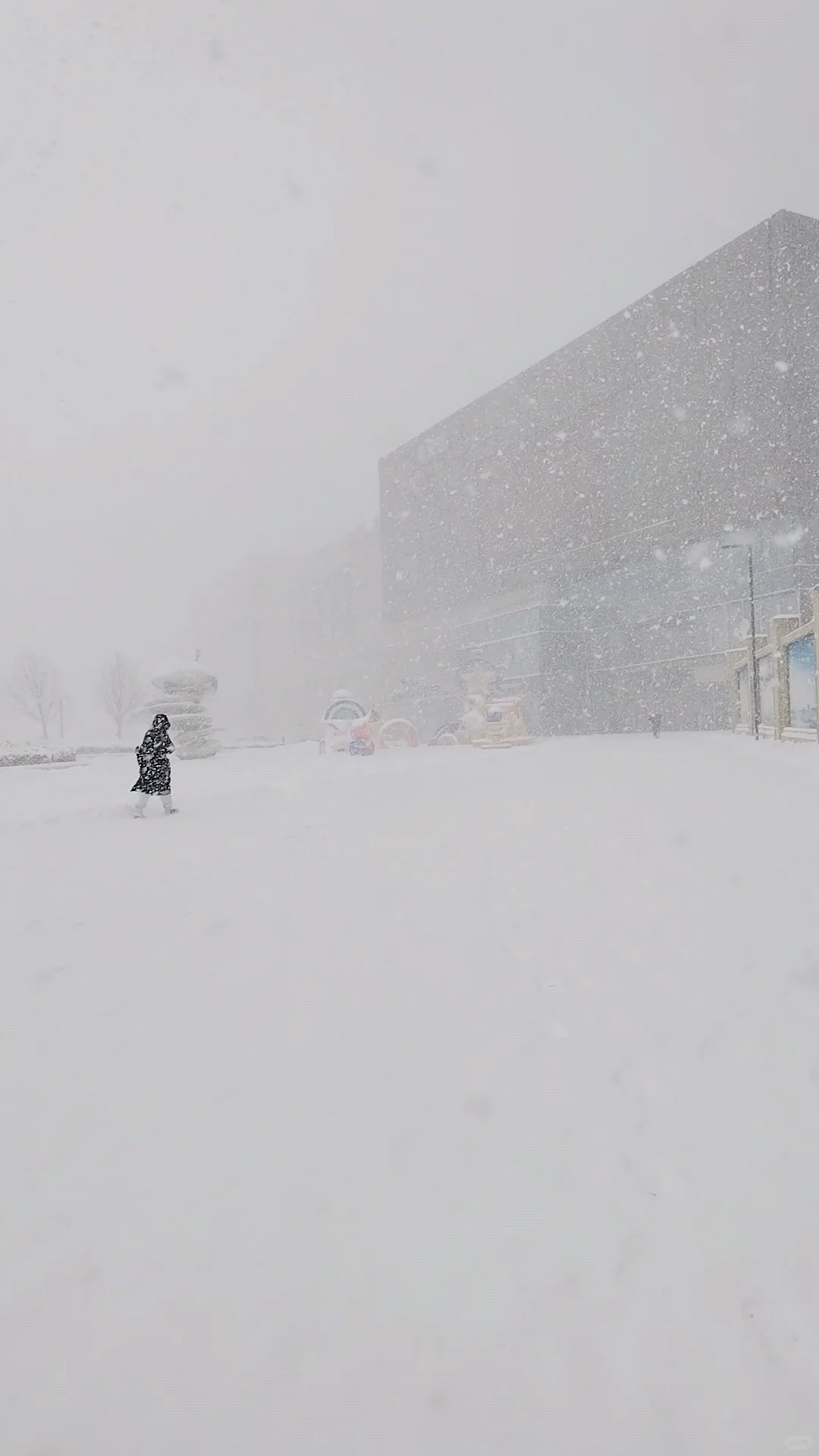 2025年1月9日烟台大雪实景图，坐标莱山