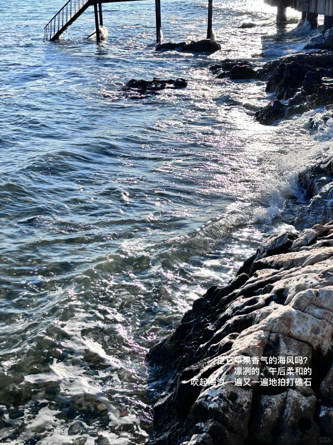 下午四点半，我抵达烟台的海边