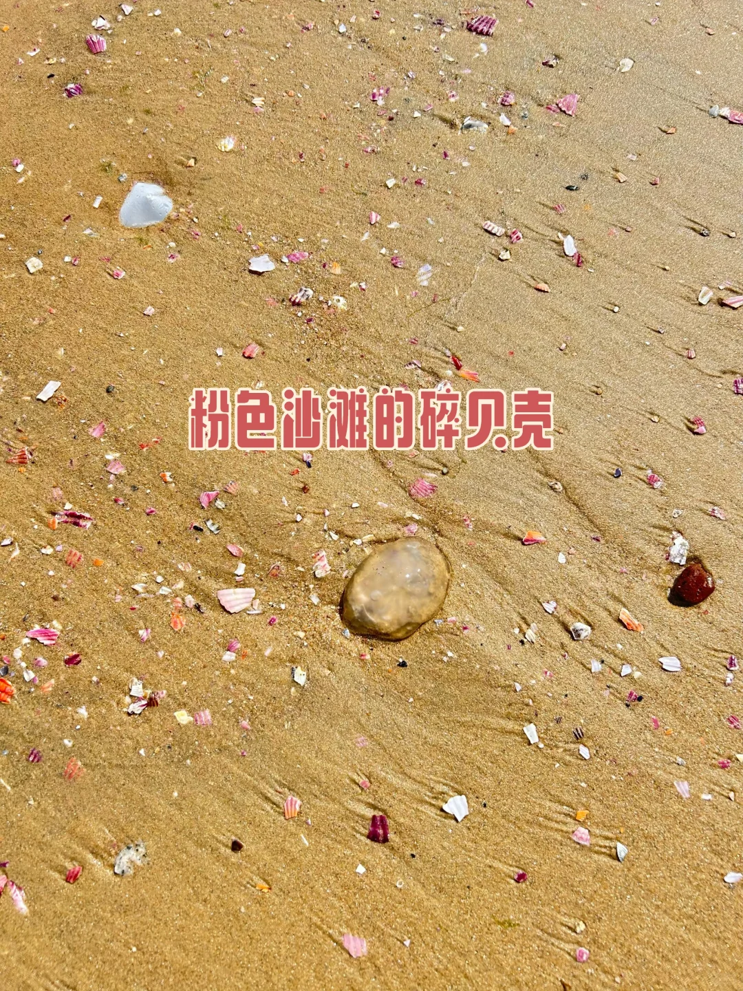 8.25烟台已回 攻略自取，不喜勿喷