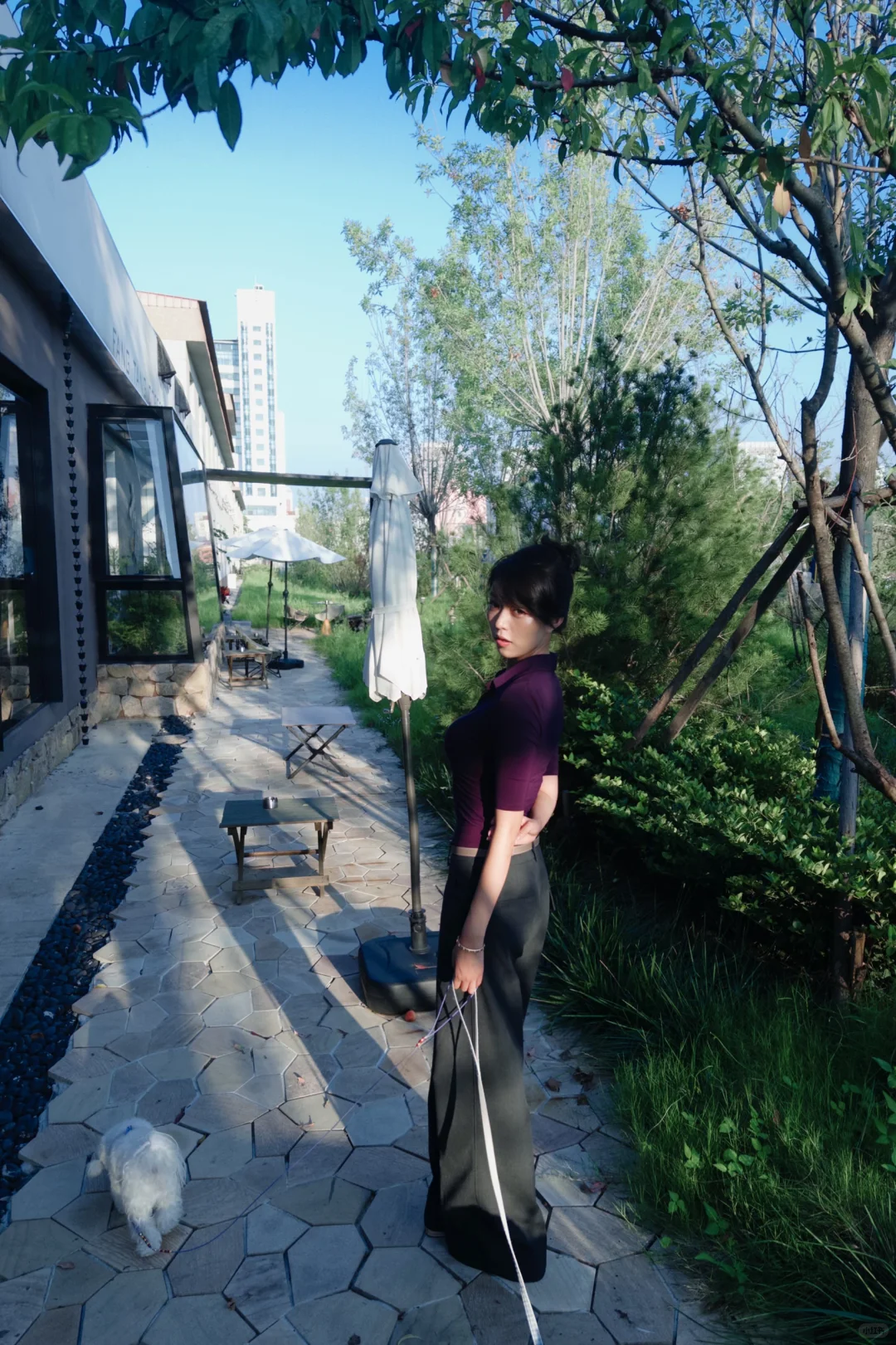 烟台可算天晴了