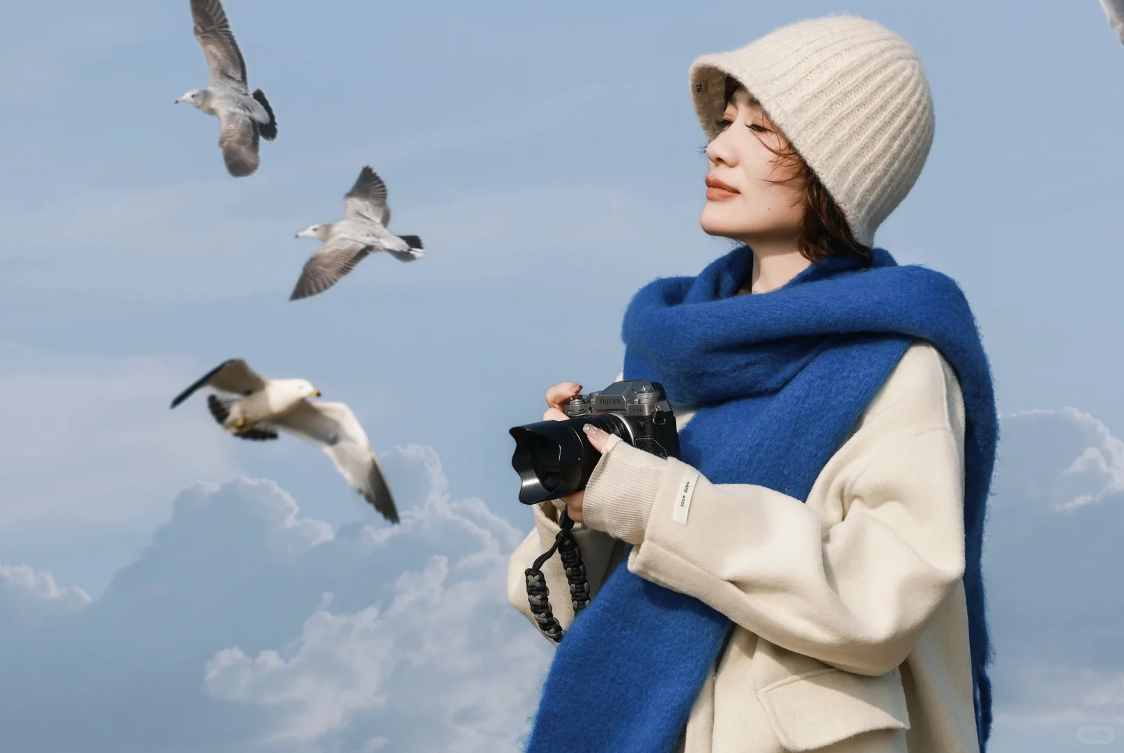 烟台 海鸥如约而至