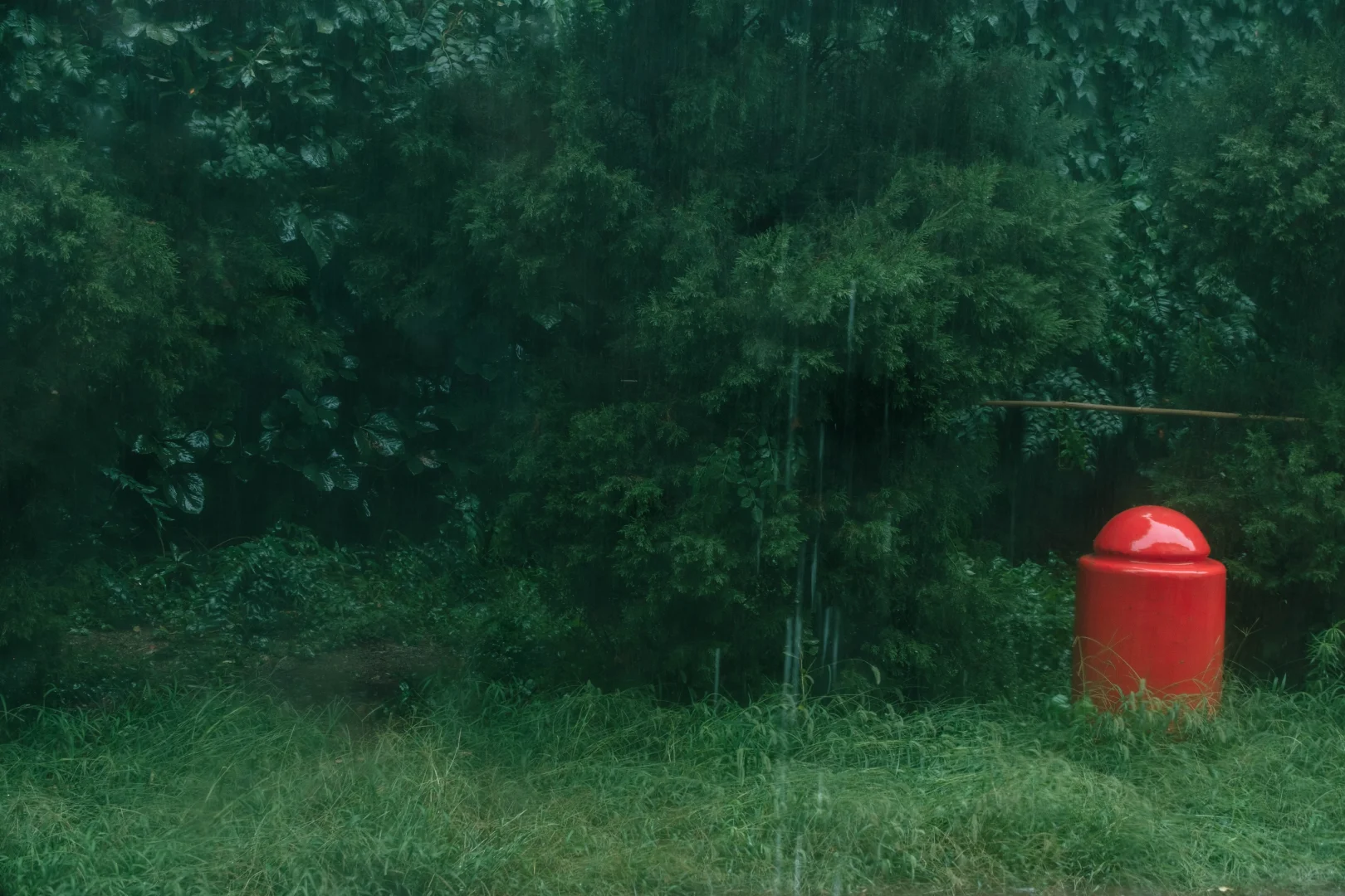 被困在烟台的一场雨里