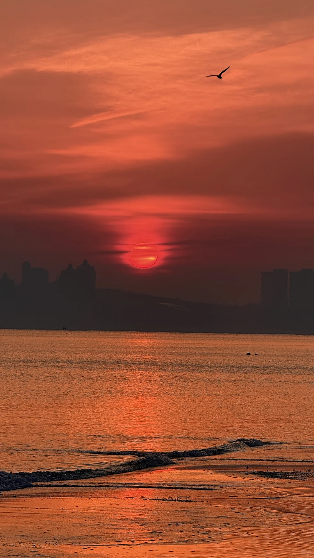 来烟台赴一场追光的浪漫