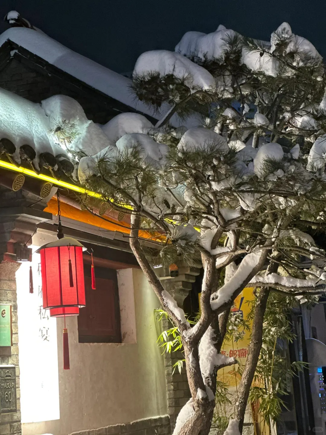 雪中的烟台，真的赢麻了‼️