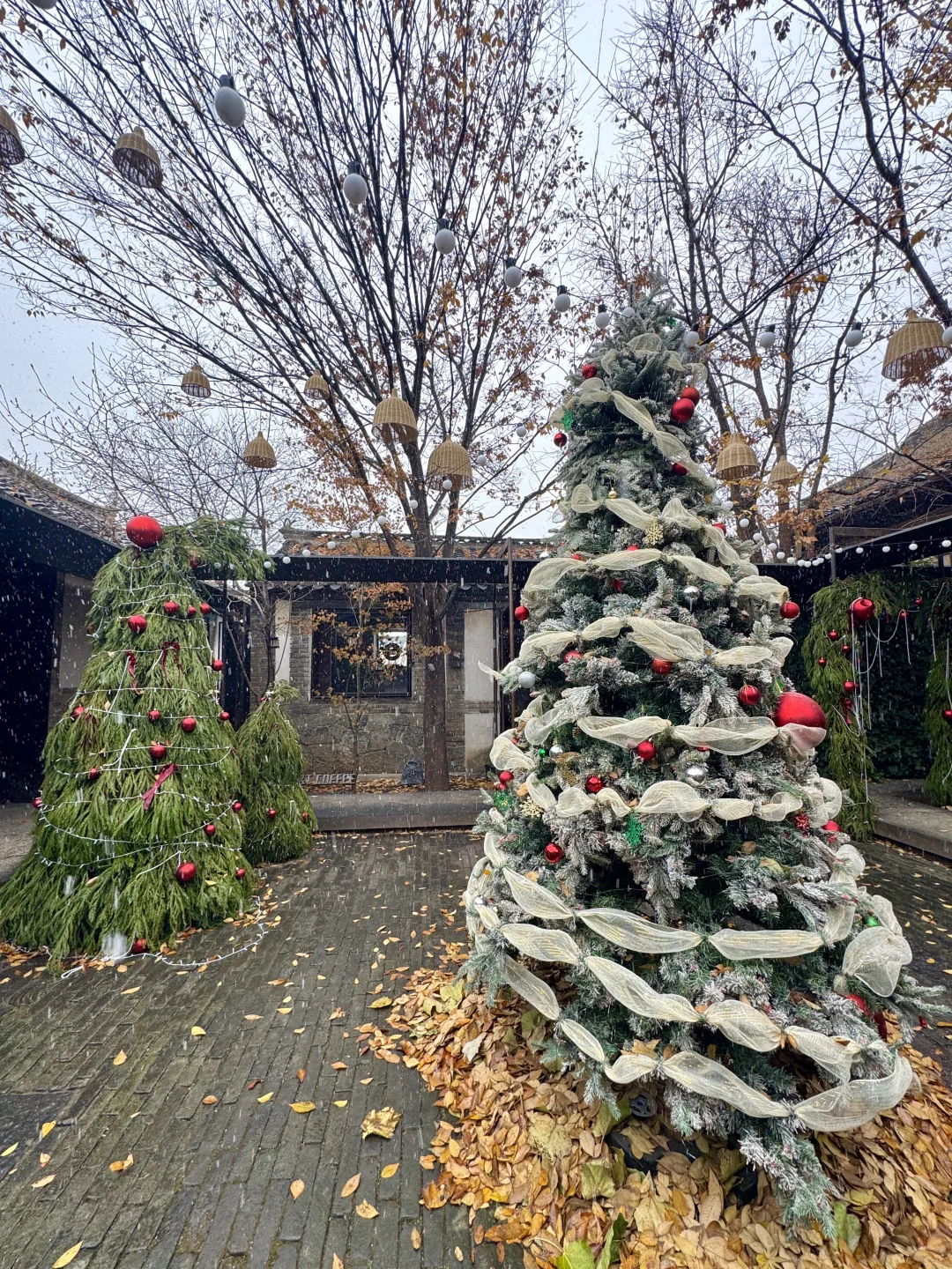 烟台12.13实况！暴雪中的烟台已经美疯了🎄…