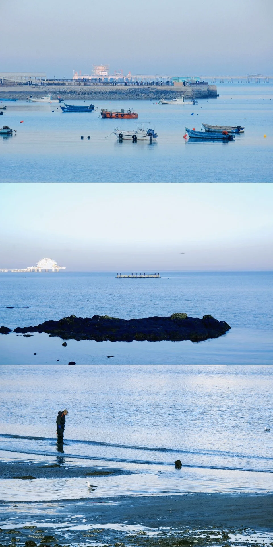 到欧洲了 跟烟台似的