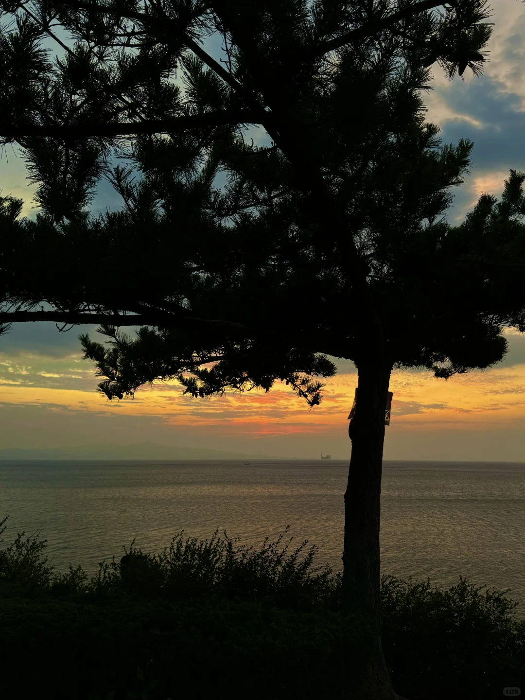 已经开始怀念烟台的夏天了