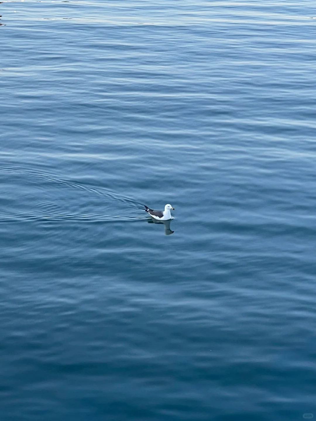 04女大新年旅行第二站📍烟台|路线分享~