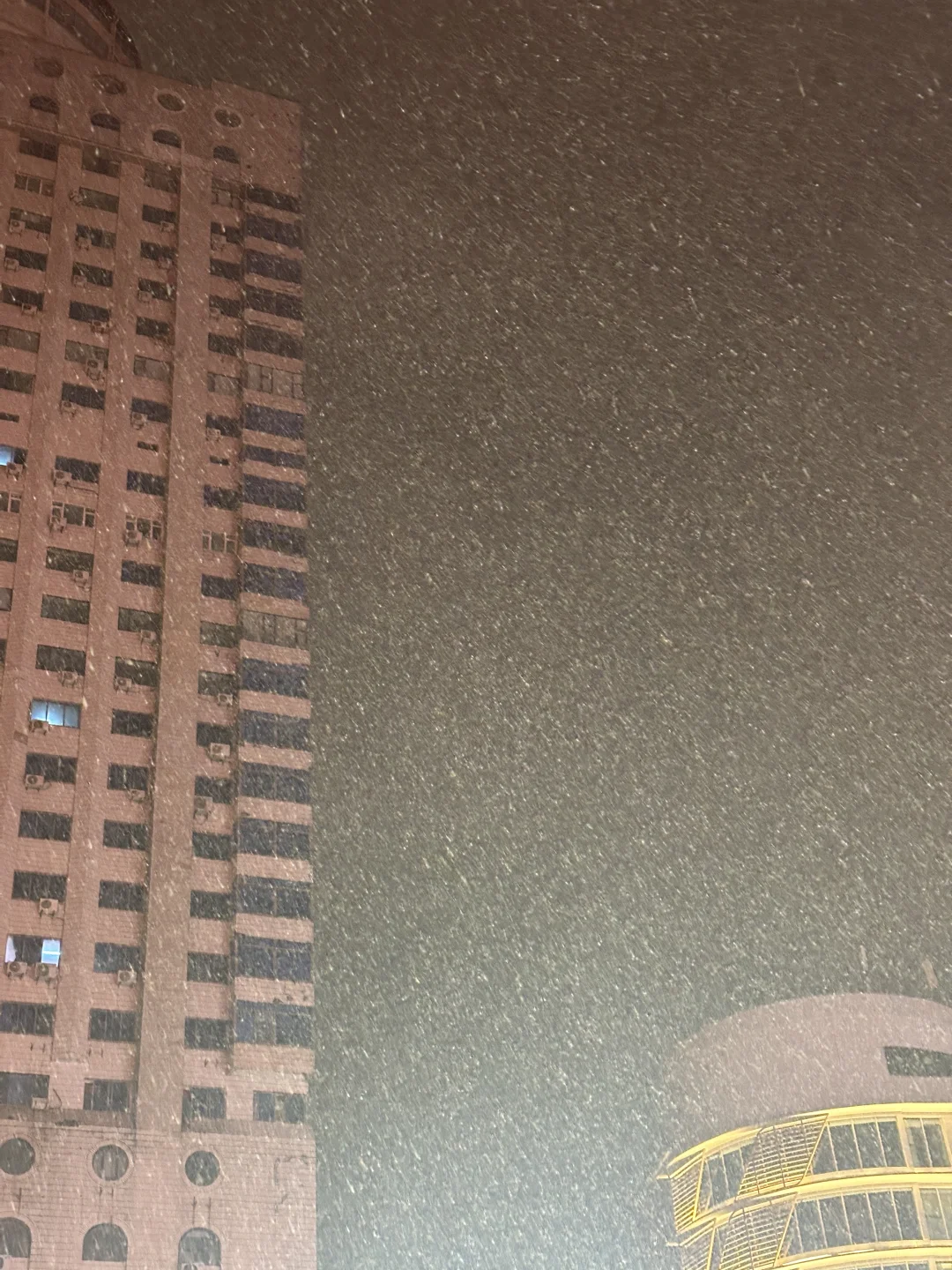 烟台大雪！！！无滤镜live 图！！巨美！！！