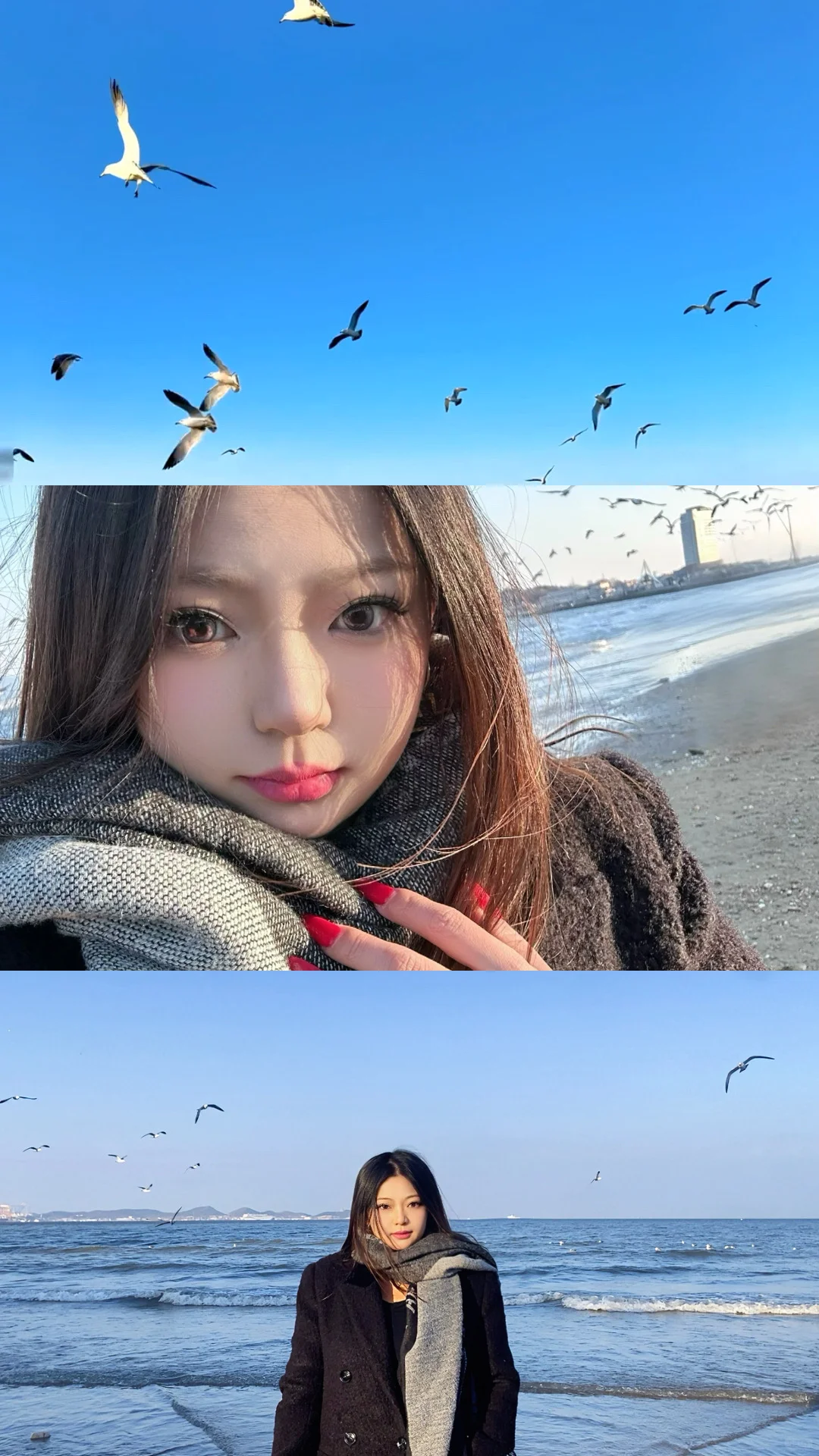 烟台你太美了！冬天的海边🥳