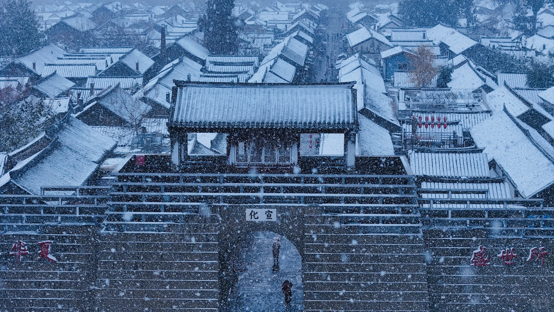雪中的烟台，真的赢麻了‼️