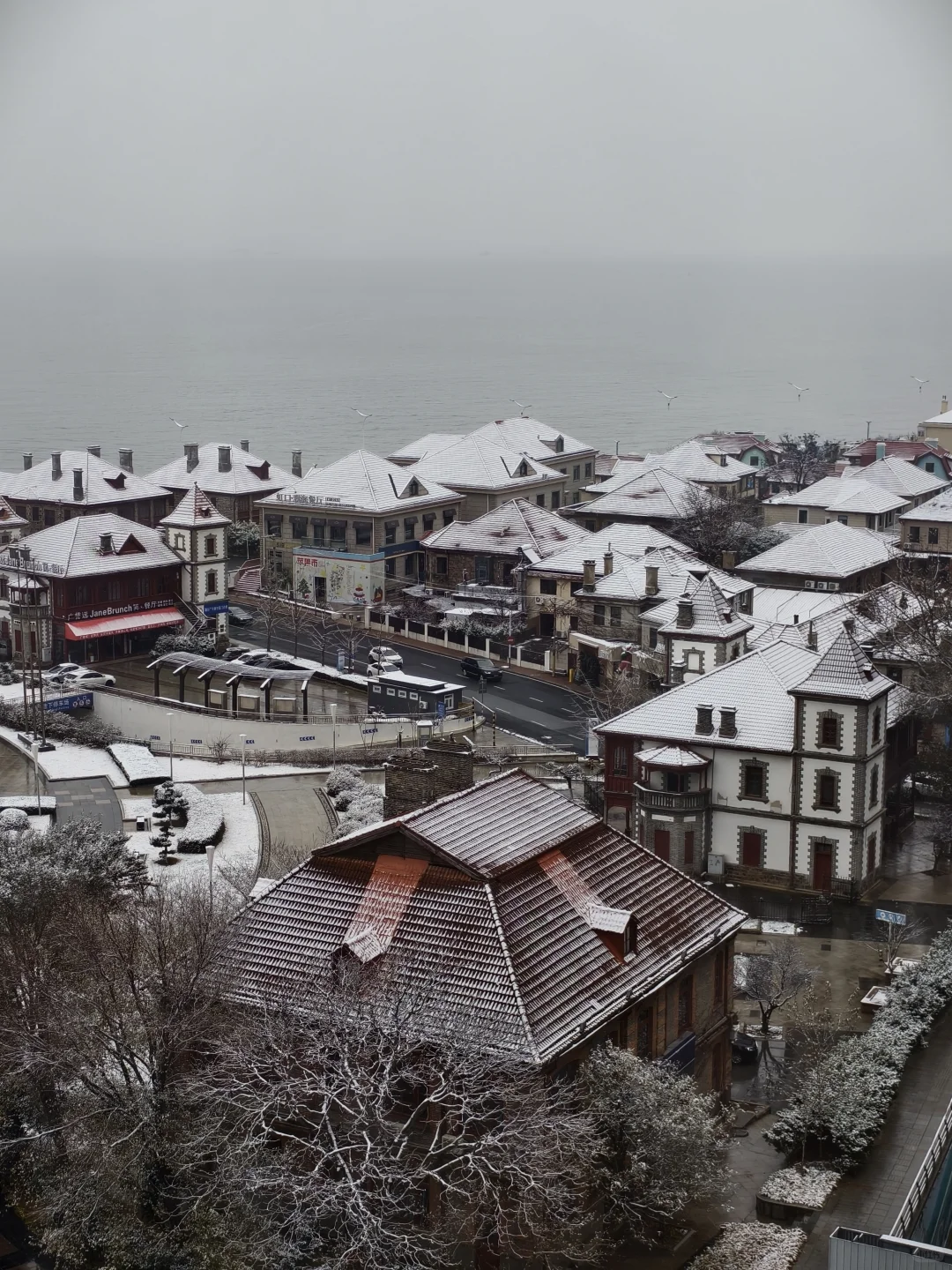 来看，今日烟台雪景实况❄️