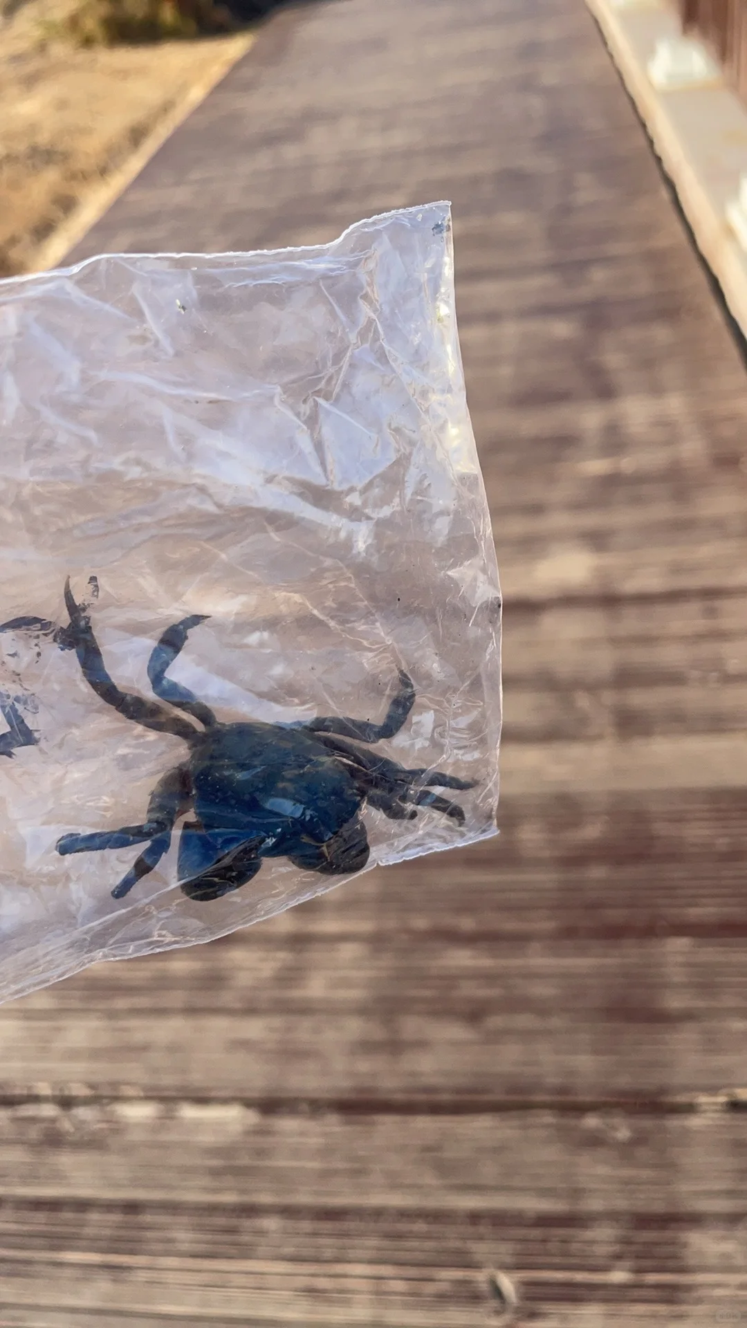 烟台好美！下次还来！！！！