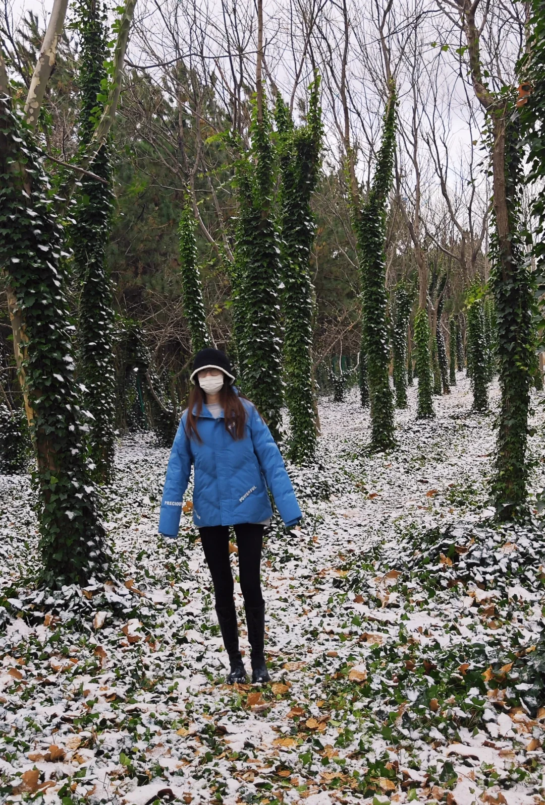 是银装素裹的烟台！