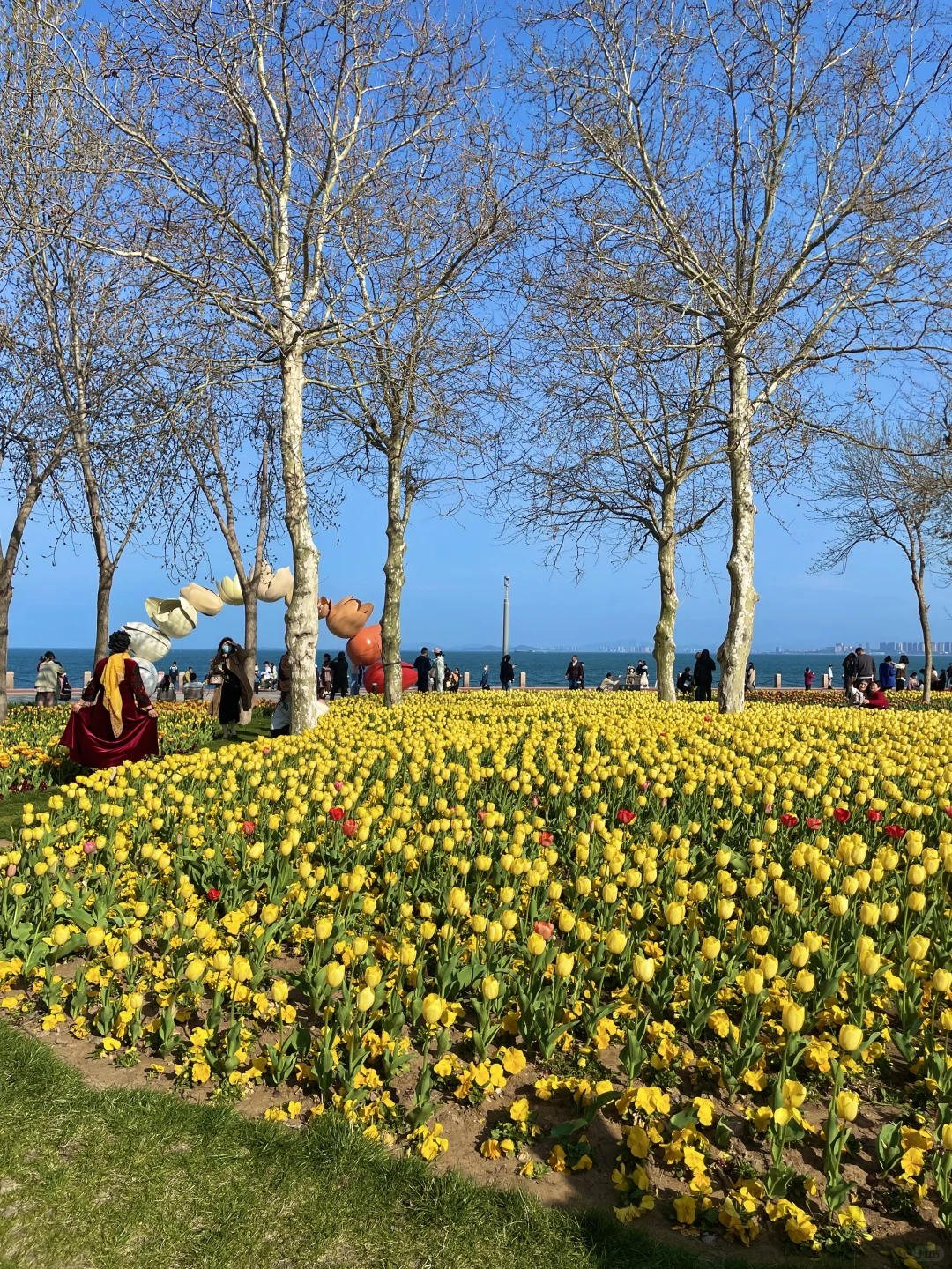 已经开始怀念烟台的夏天了