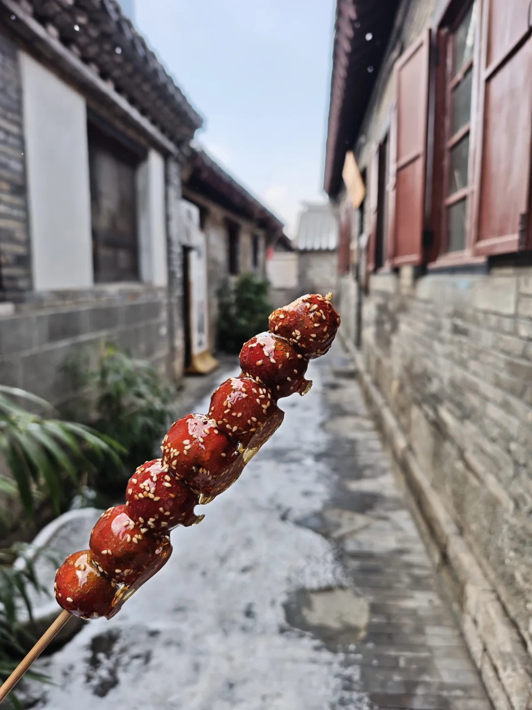 一个人去了冬天的烟台