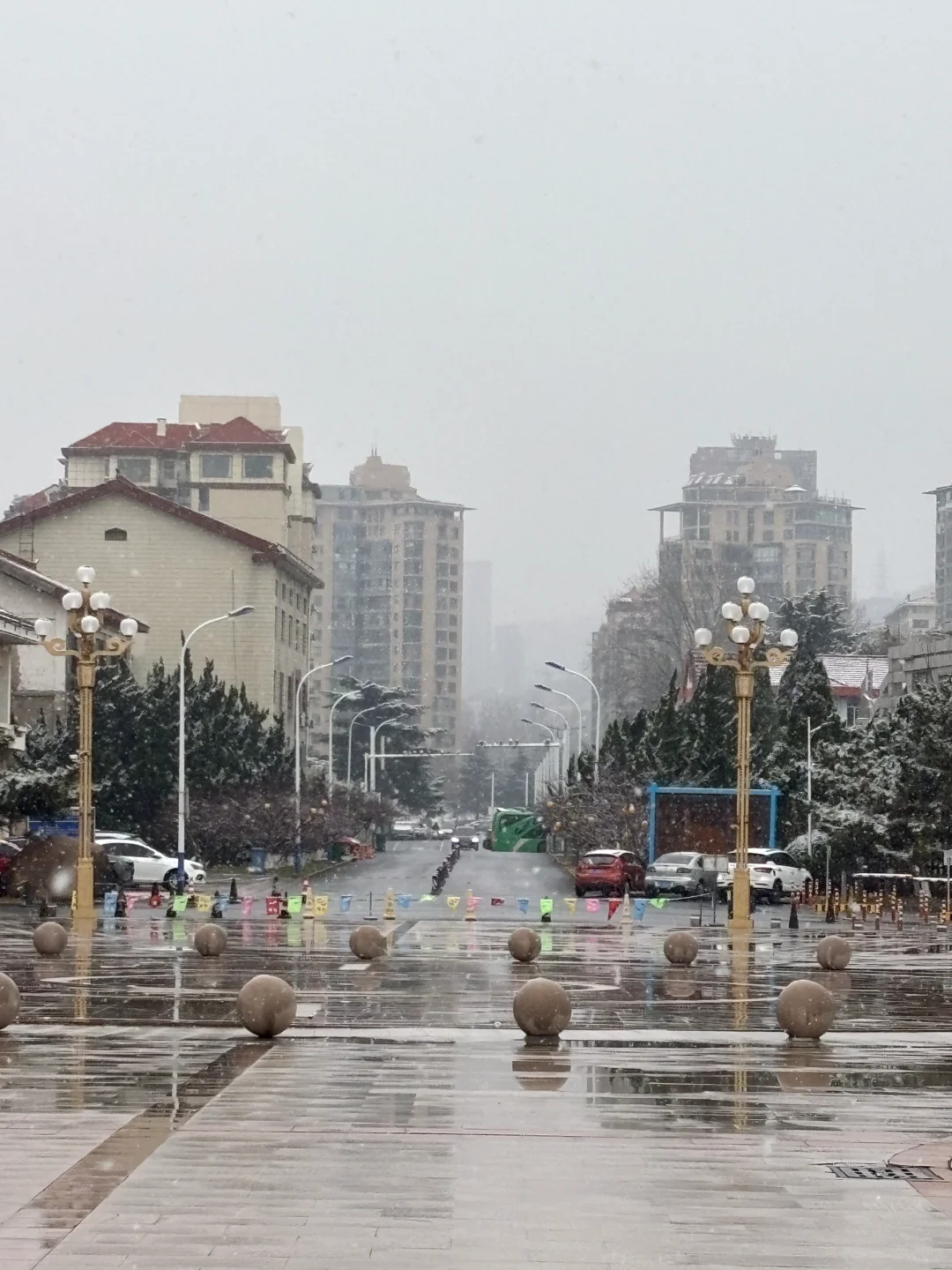 12月底之前烟台大雪基本无望了 奔一月去了