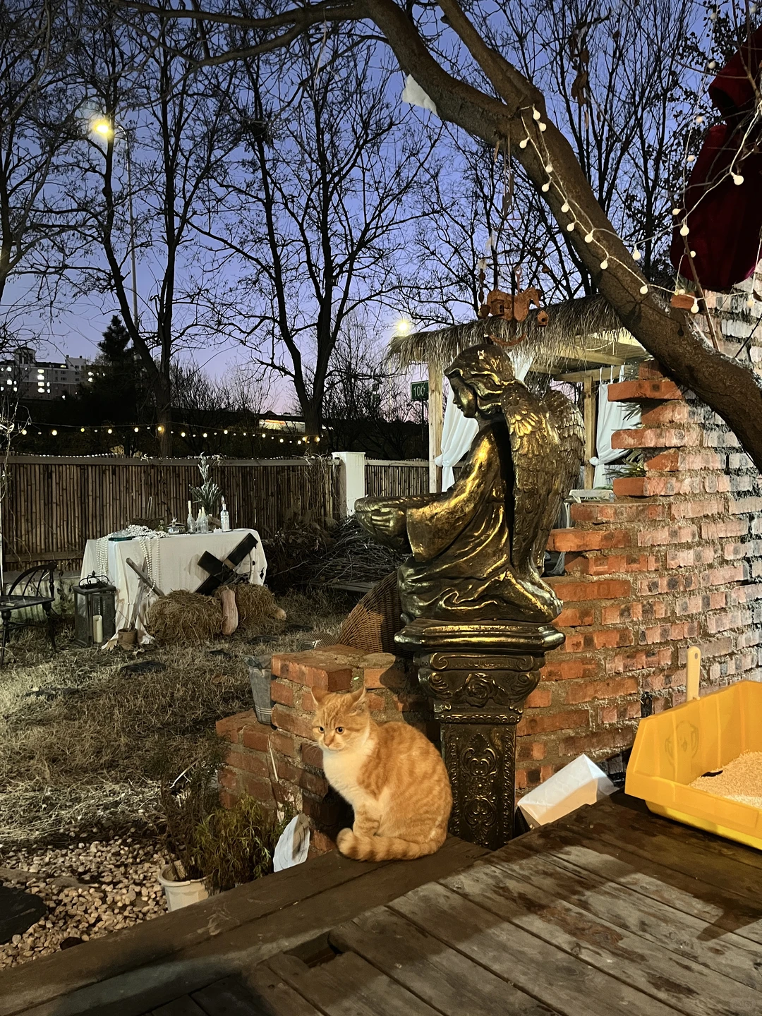 烟台圣诞氛围up🎄🌟