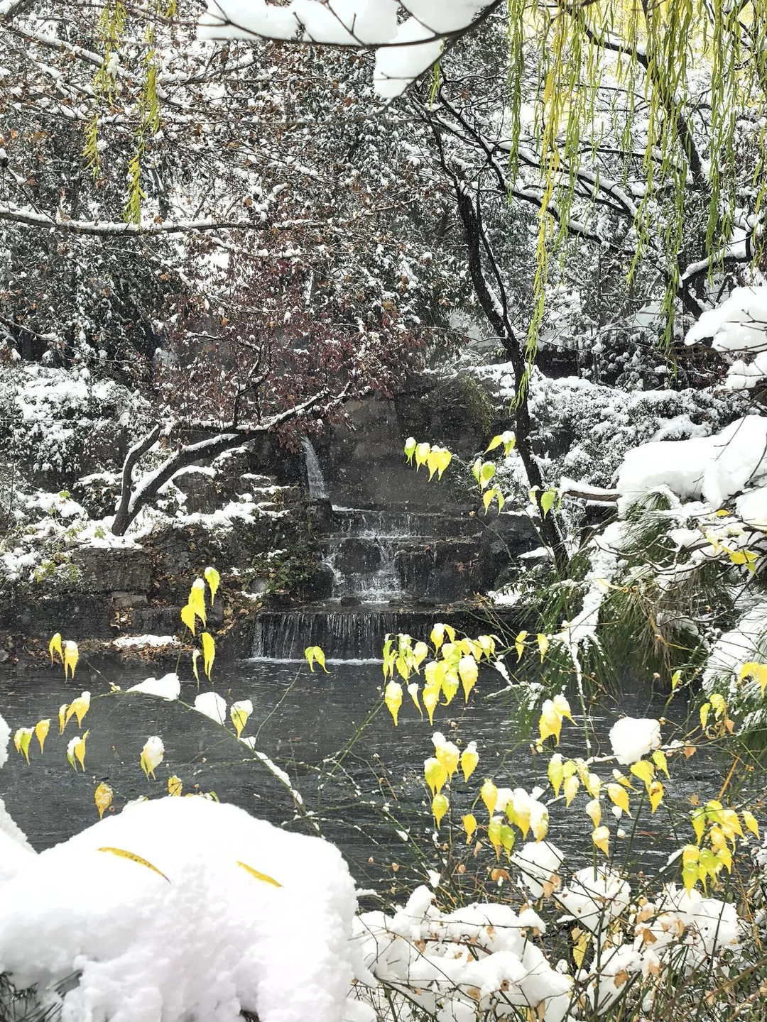 济南❤预报12月23号又要下雪喽～