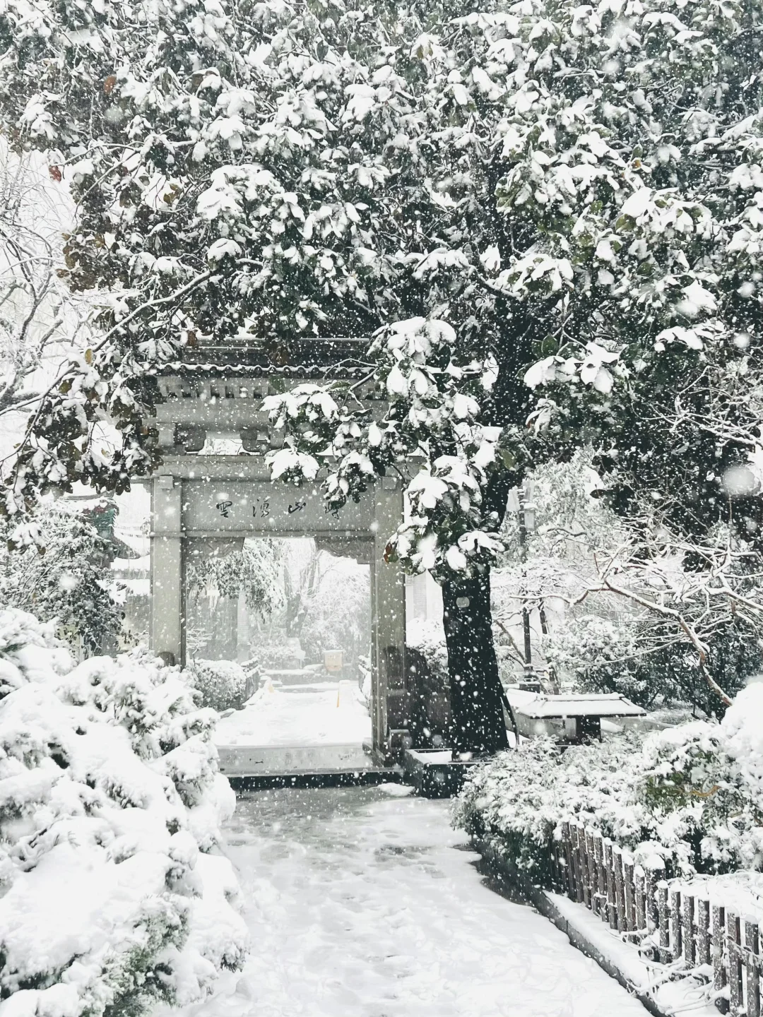 12月初雪！！济南的冬天真的美疯了！