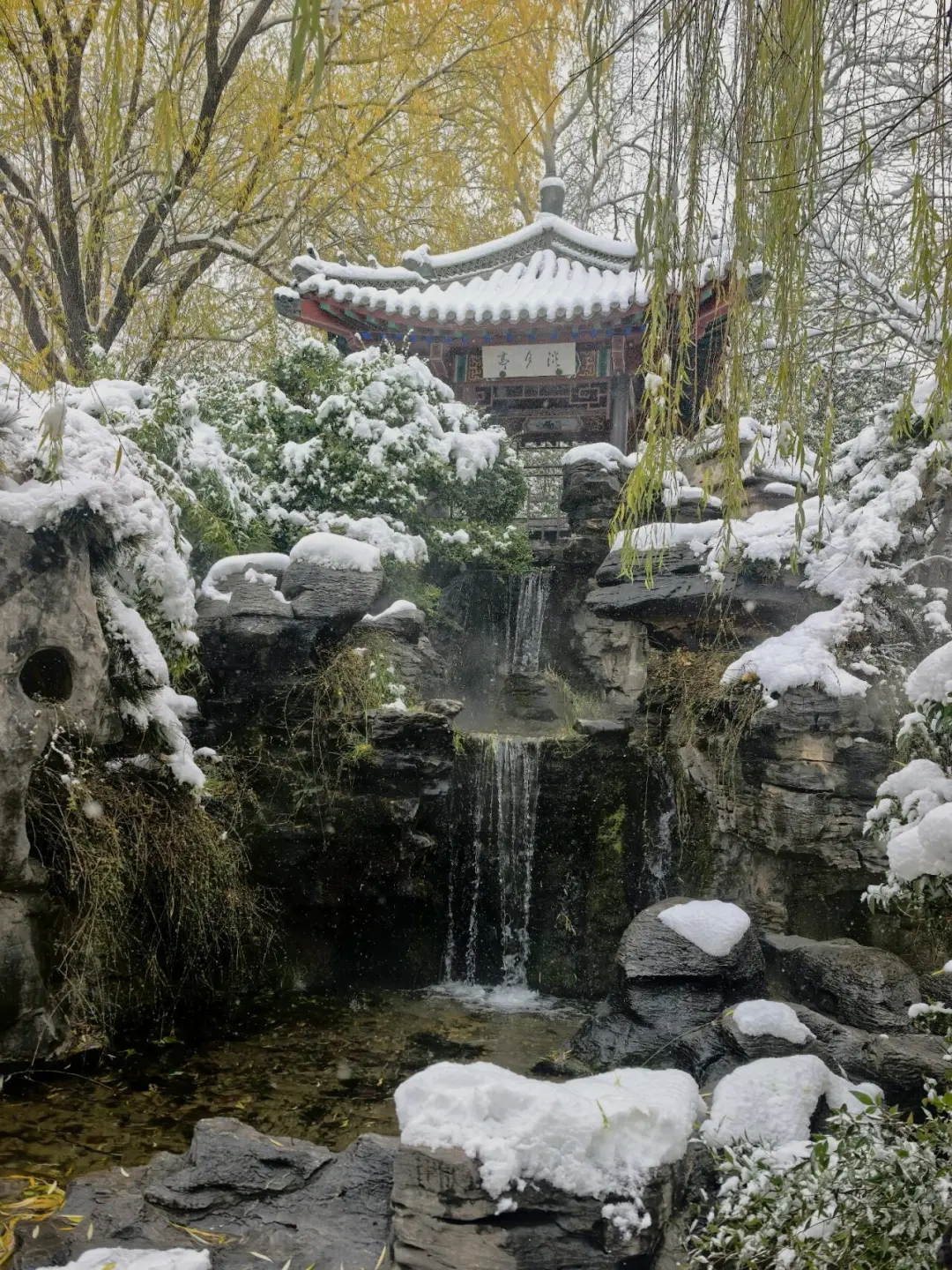 济南❤预报12月23号又要下雪喽～