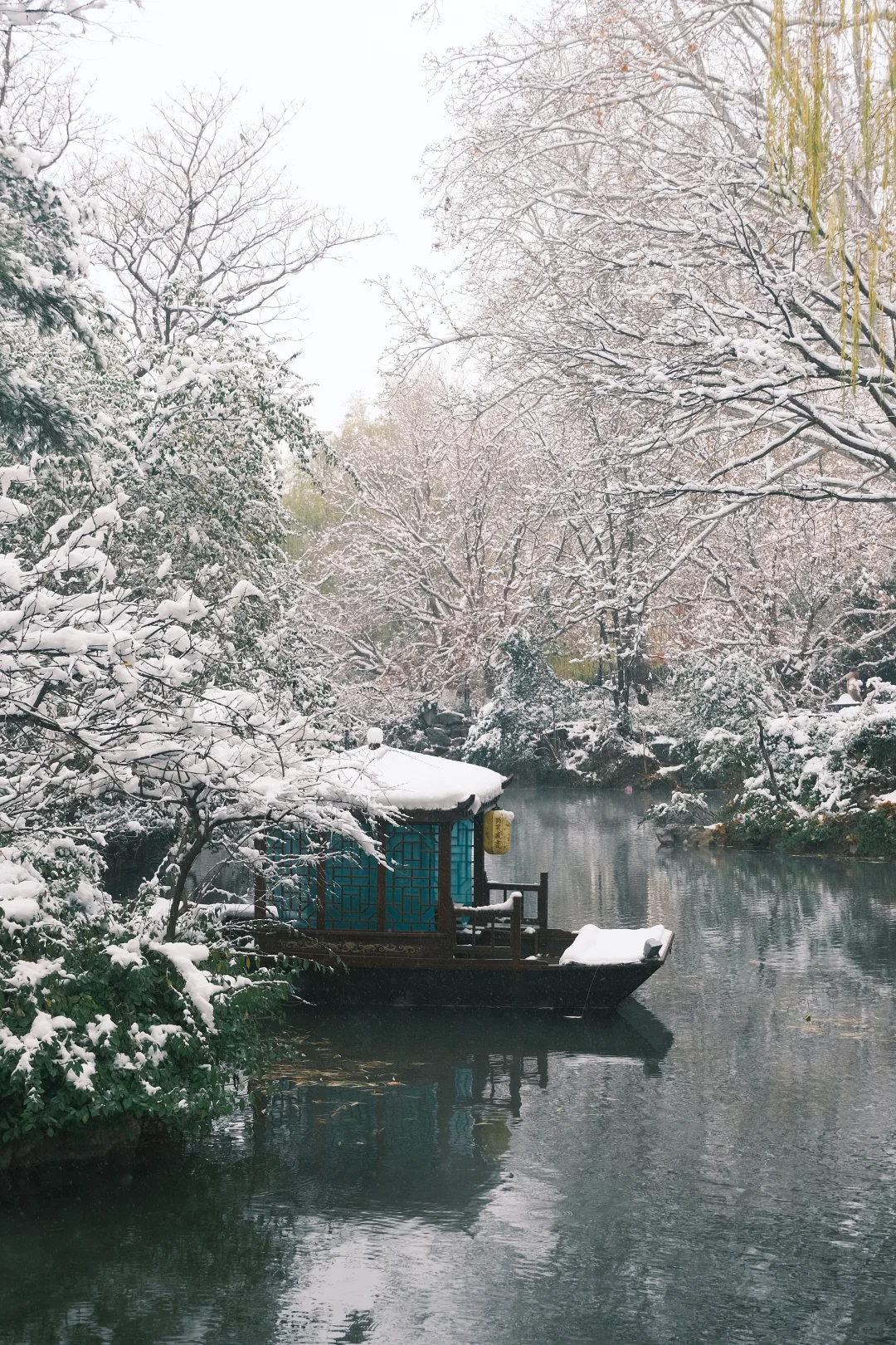 济南的初雪❄️⛲️