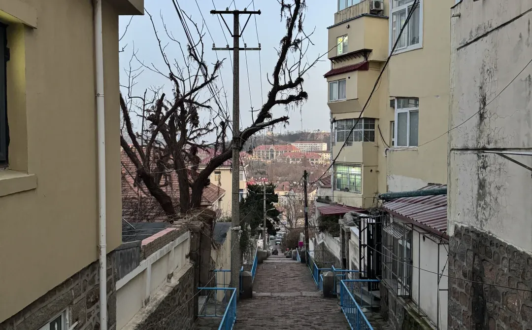 Live实况！青岛一日游citywalk🥹