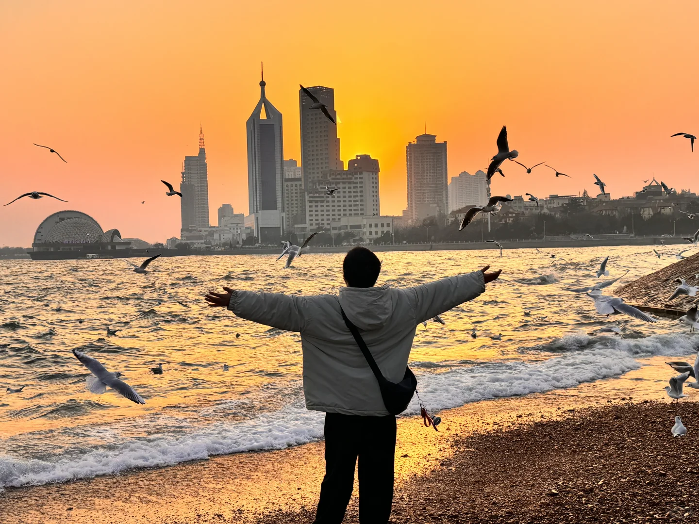 📍青岛 日落 栈桥 海鸥｜Live图实况 美炸了！