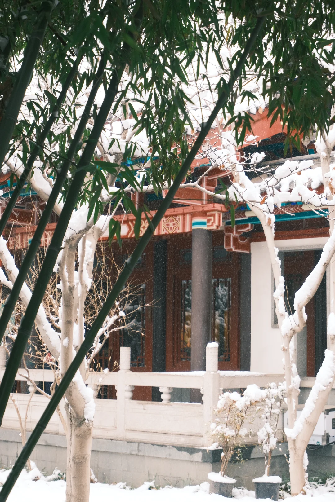 济南的初雪❄️⛲️