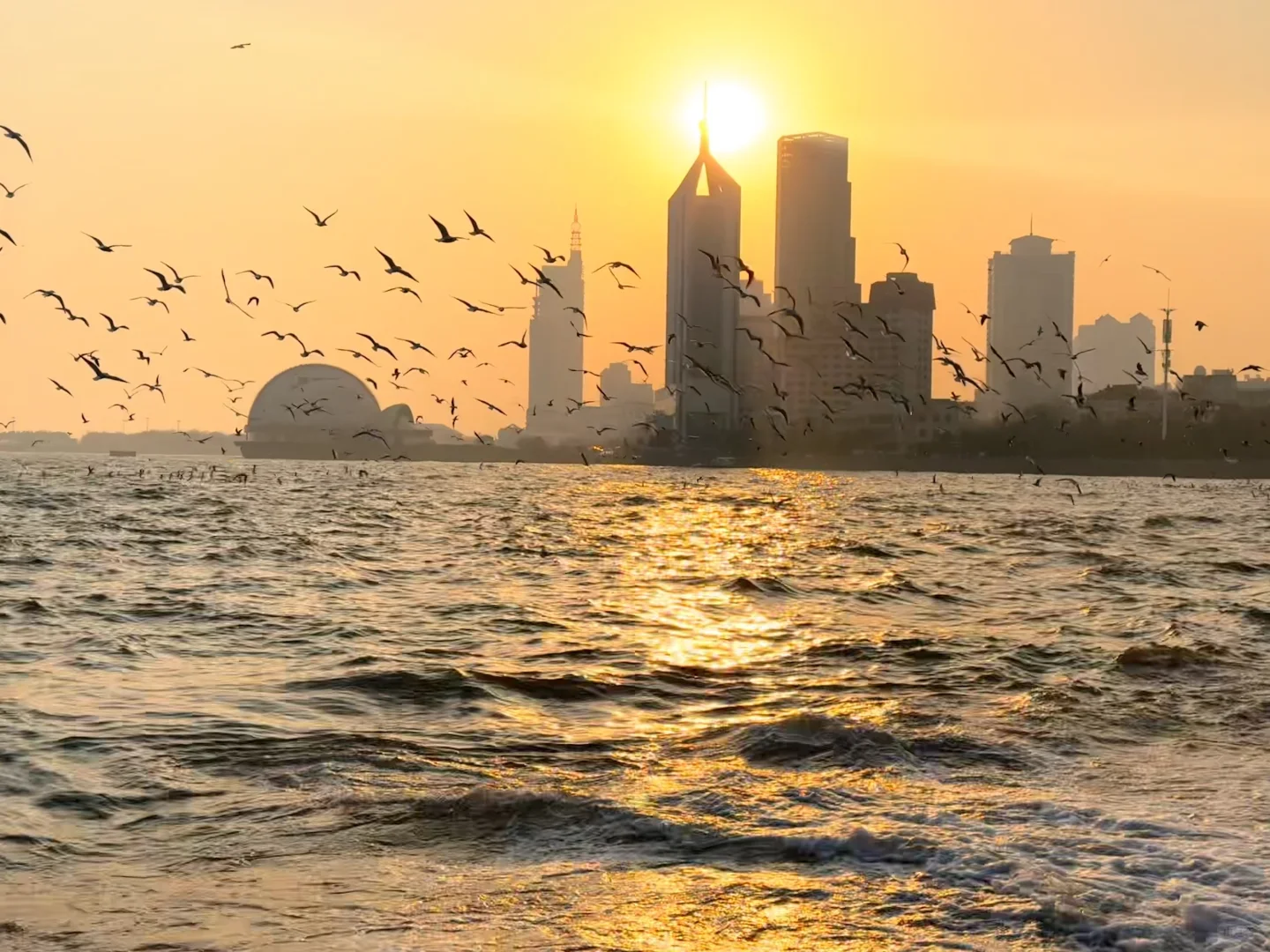 📍青岛 日落 栈桥 海鸥｜Live图实况 美炸了！