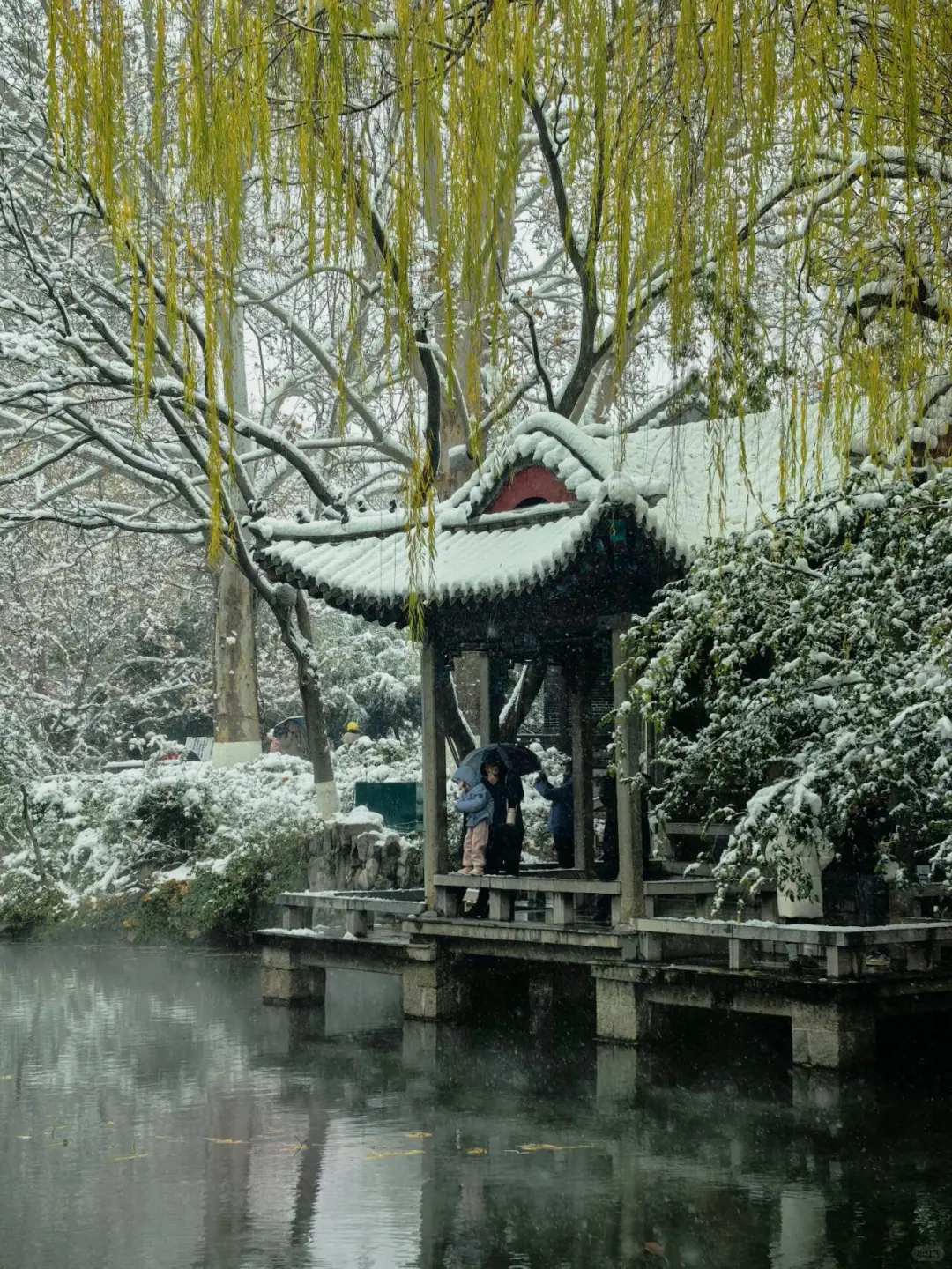 济南❤预报12月23号又要下雪喽～