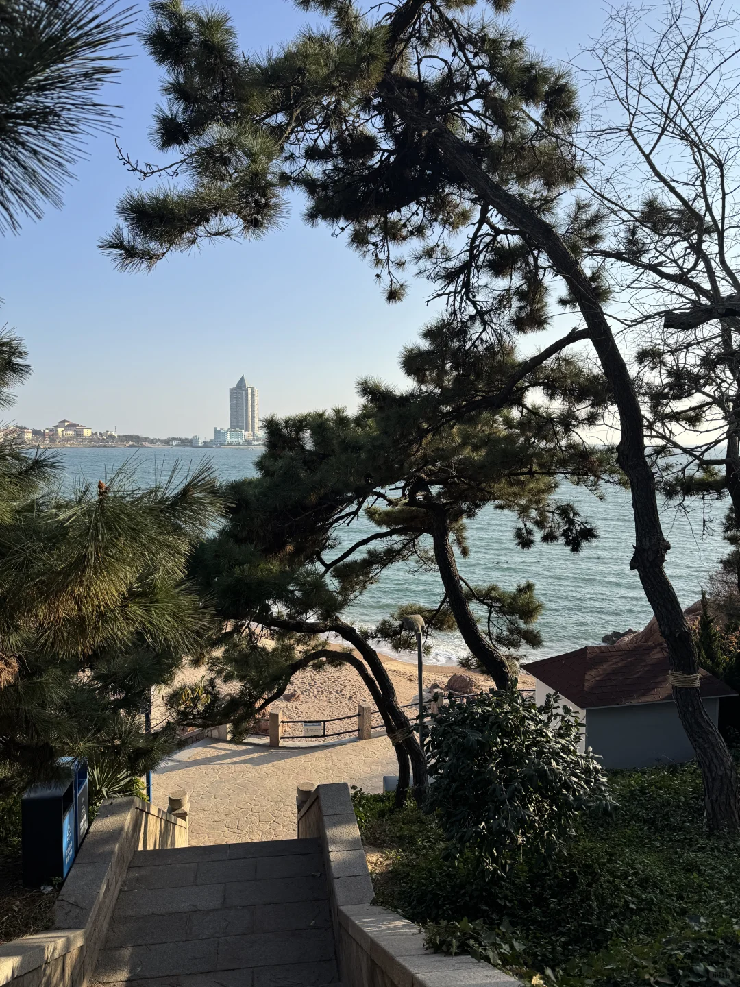 Live实况！青岛一日游citywalk🥹