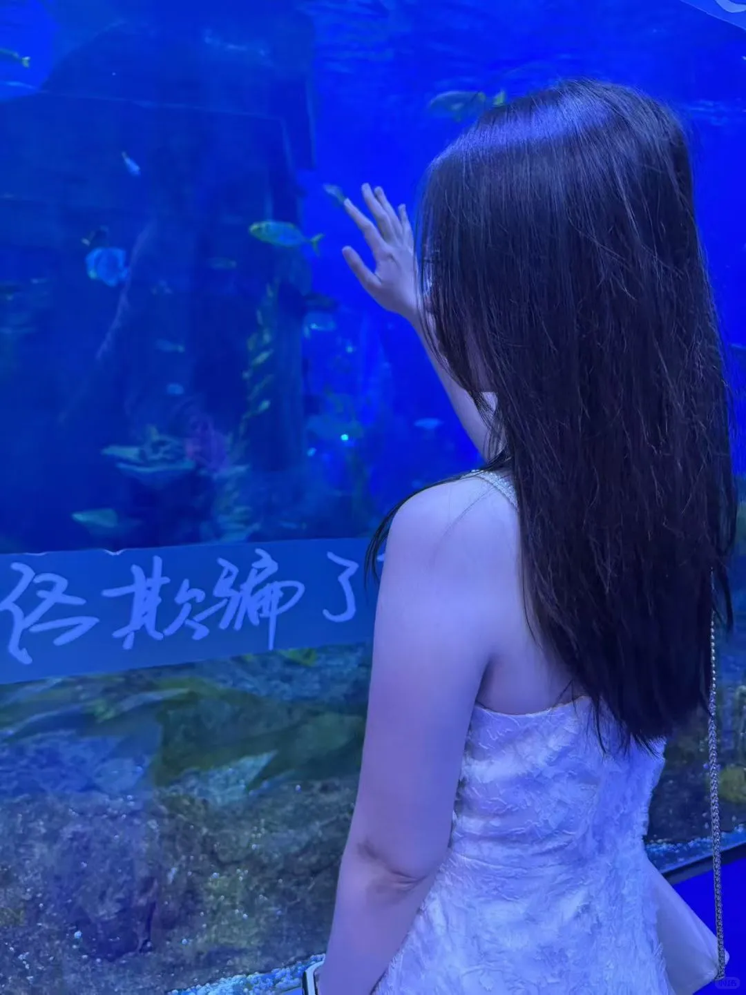 山东济南找男朋友（一起跨年版）