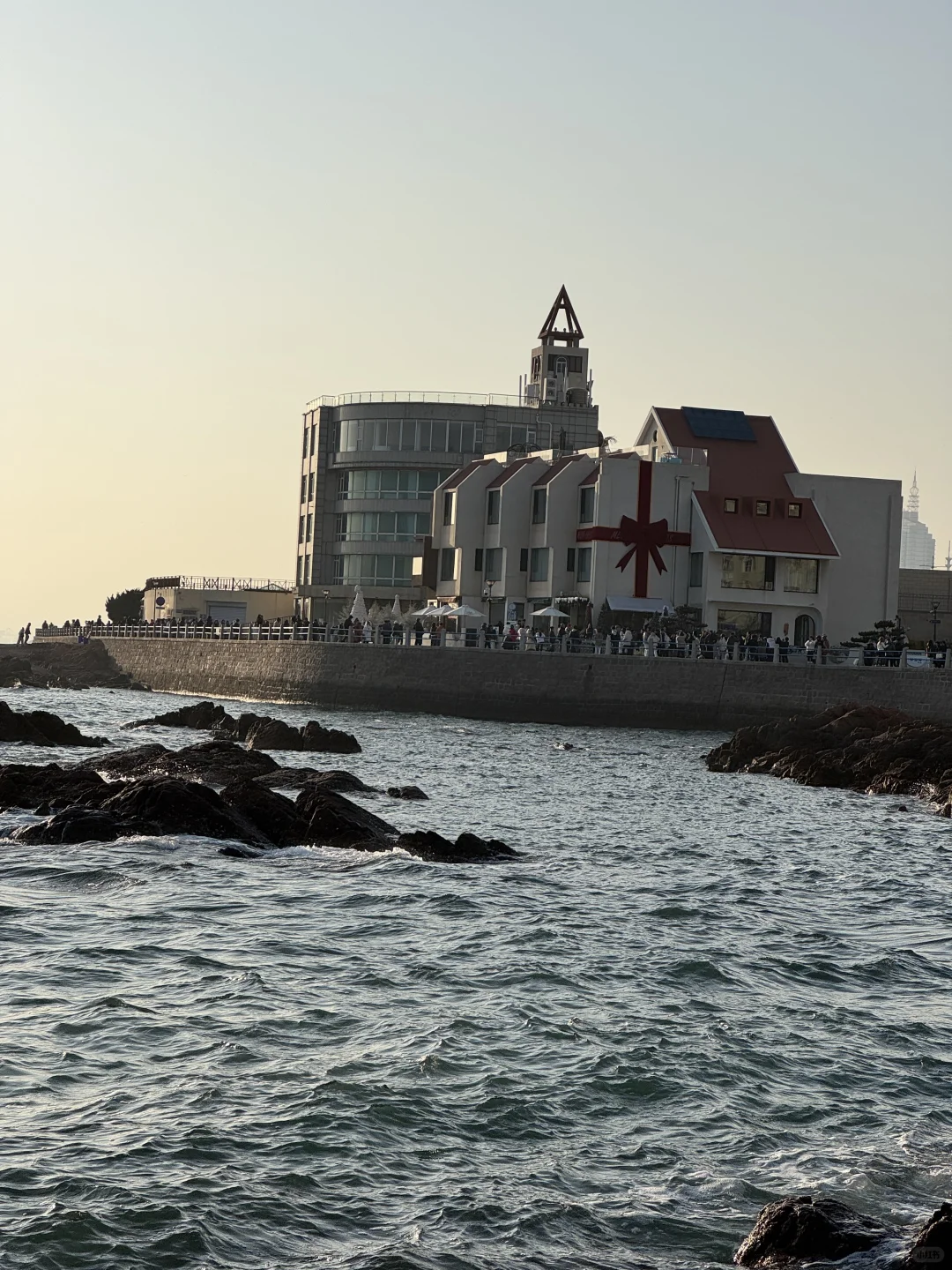 Live实况！青岛一日游citywalk🥹