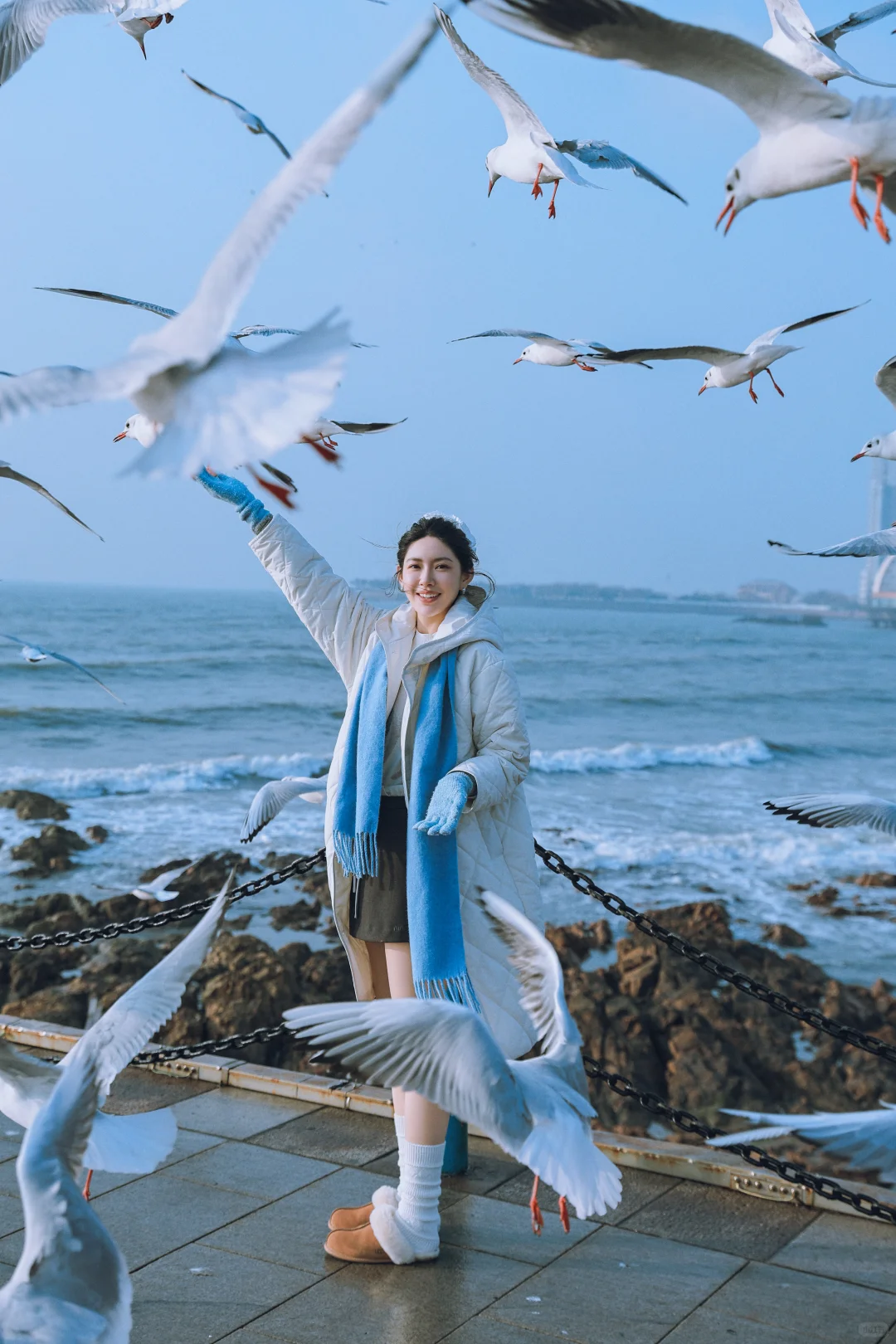 📍青岛栈桥实况❗️「海鸥季」快来拍美照📸