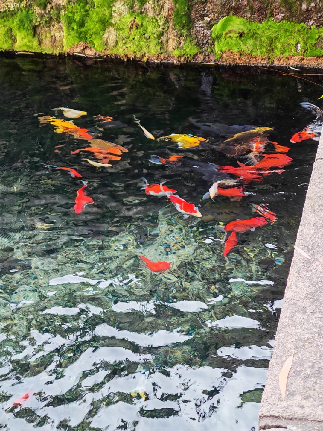 女大学生周末出发济南两天一夜省钱攻略