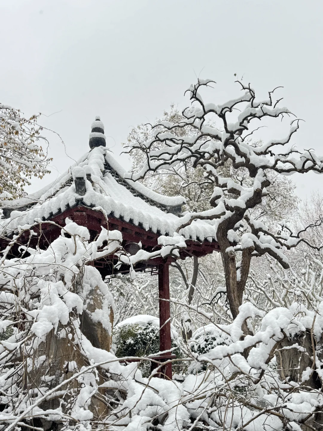 12🈷️13日，雪中的趵突泉实况live