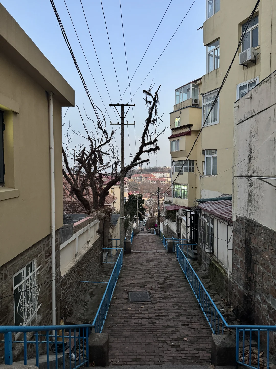 Live实况！青岛一日游citywalk🥹