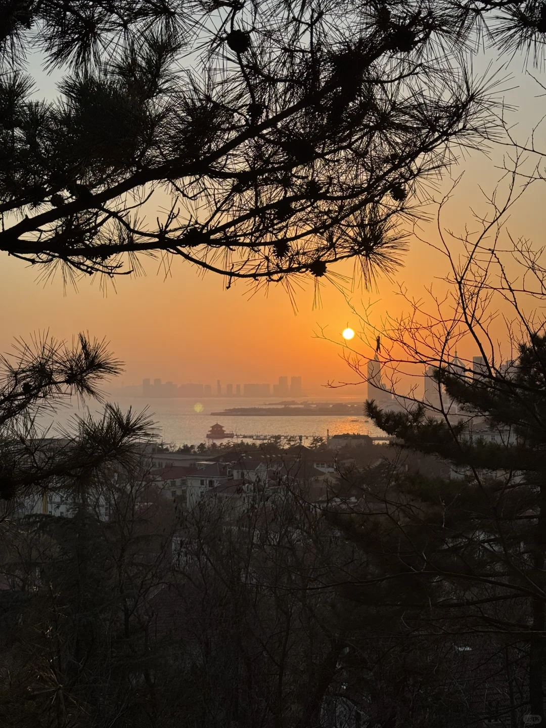 Live实况！青岛一日游citywalk🥹