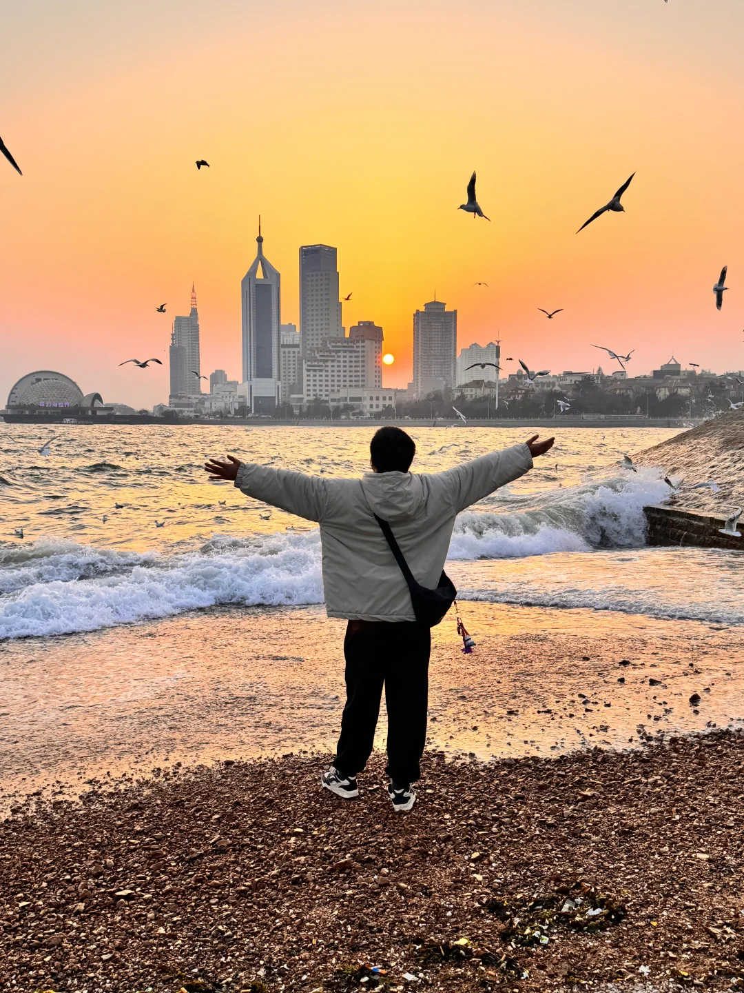 📍青岛 日落 栈桥 海鸥｜Live图实况 美炸了！