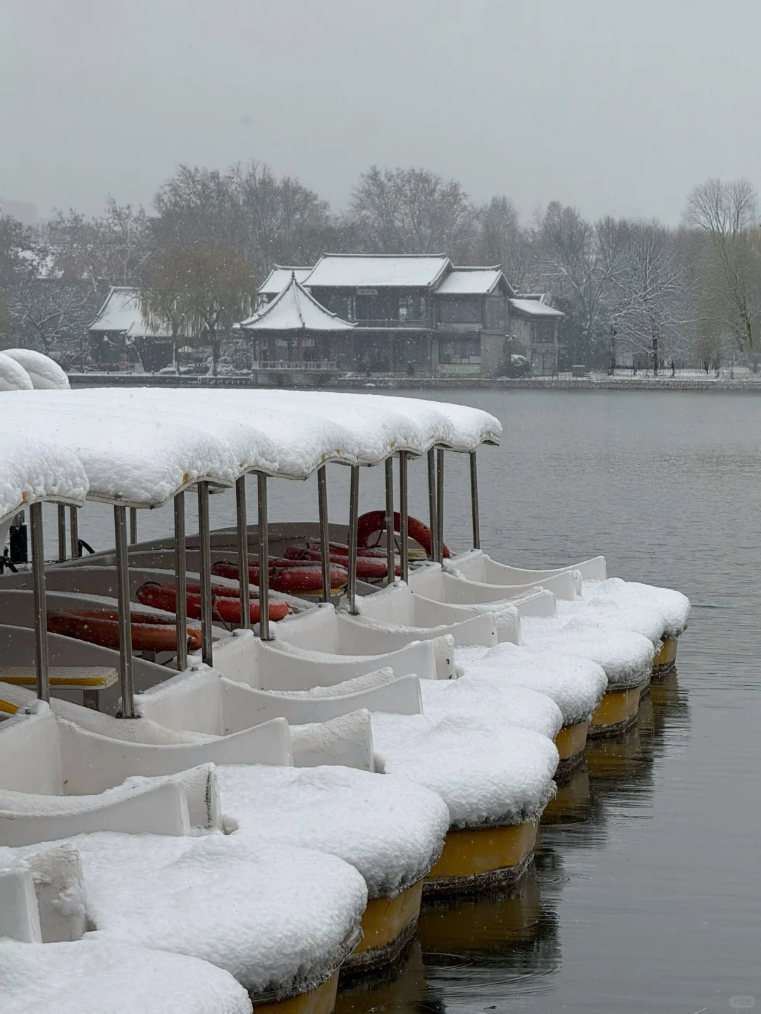 12🈷️13日，雪中的趵突泉实况live