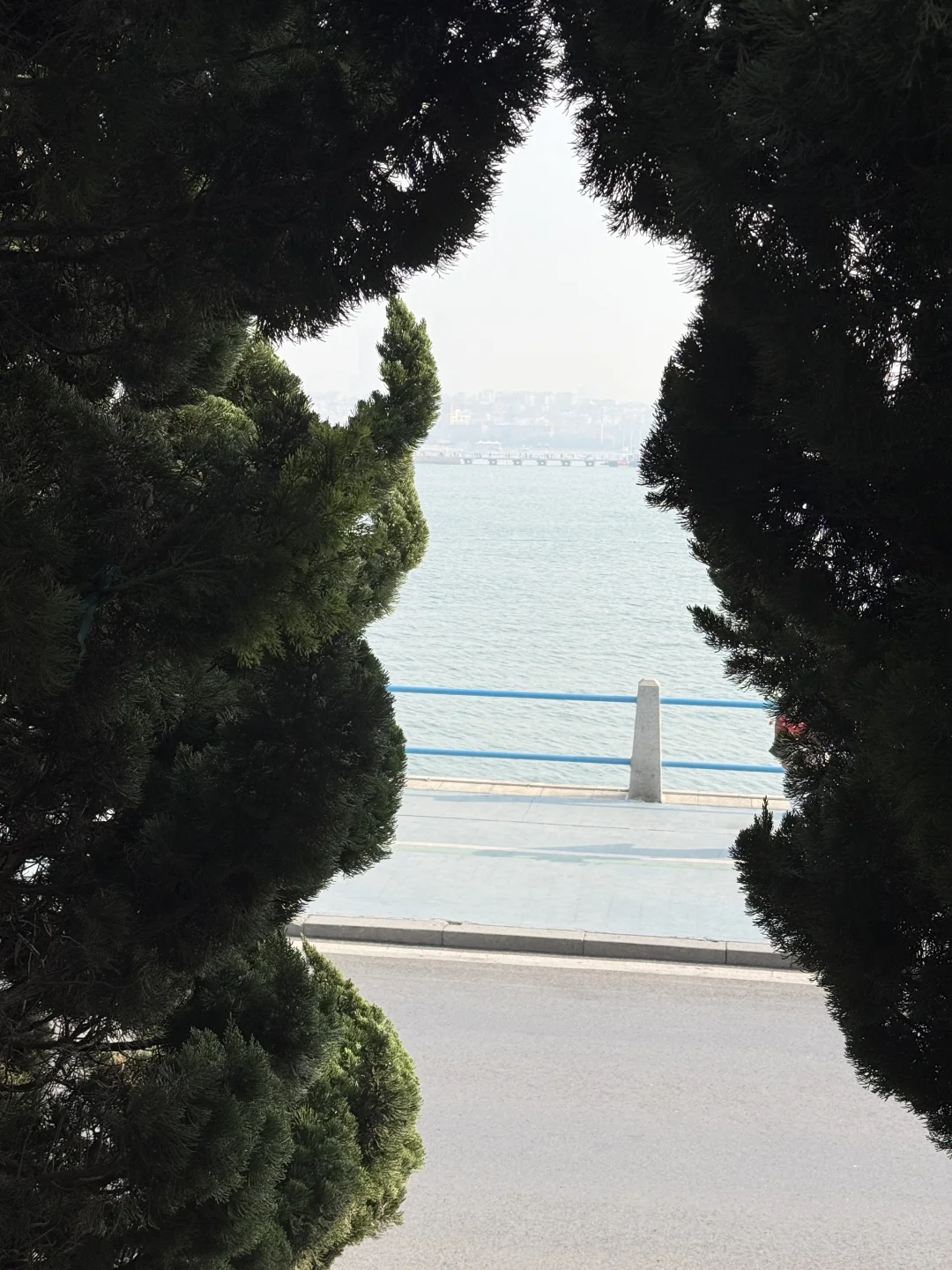 冬季的青岛一定要来！！