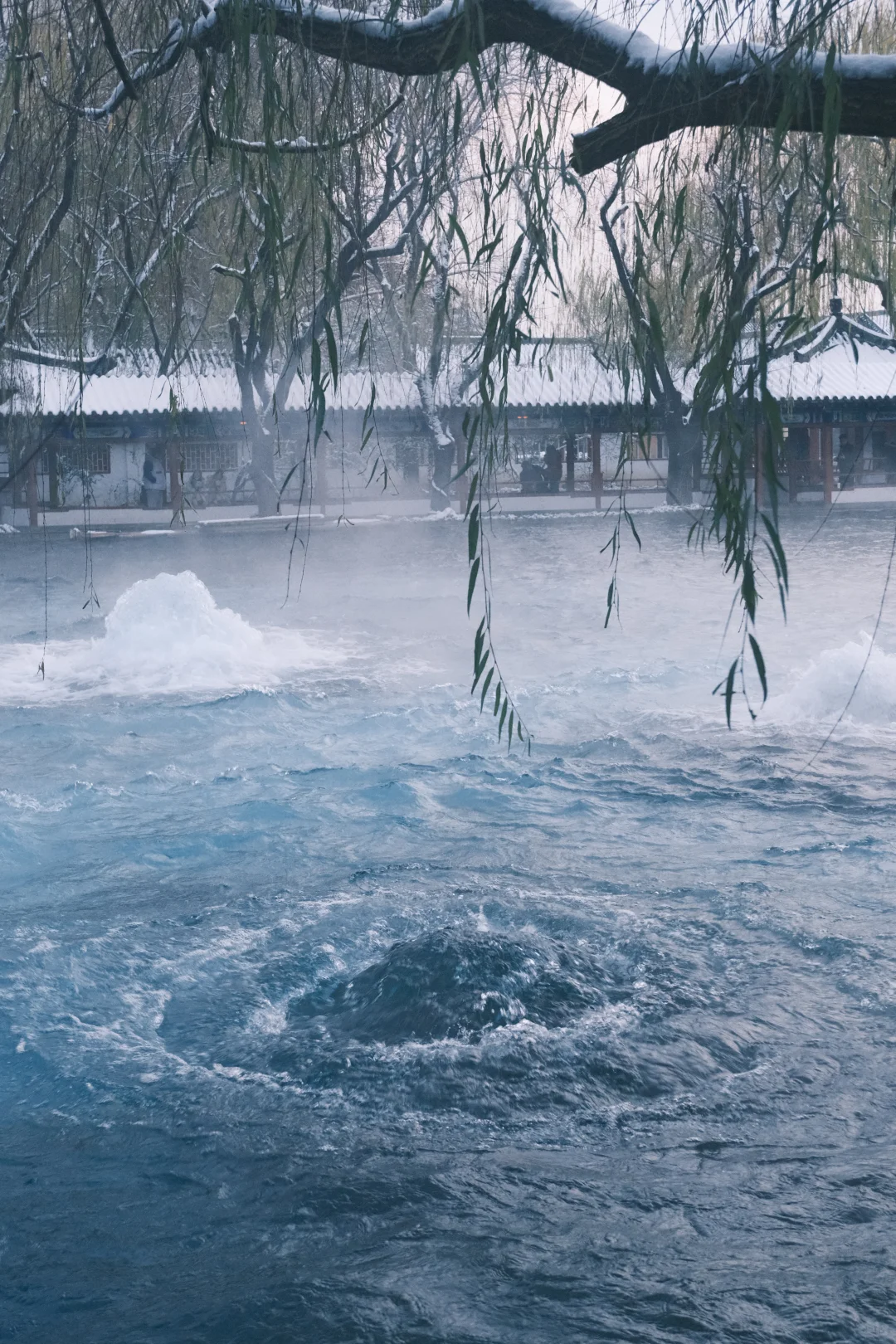 济南的初雪❄️⛲️