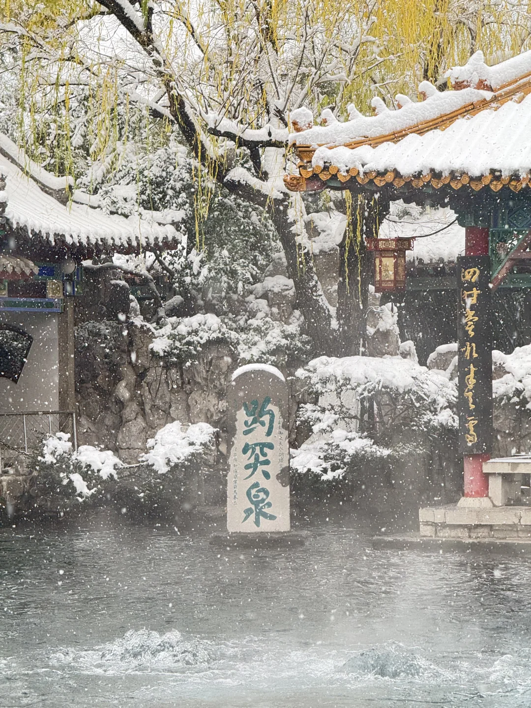 12🈷️13日，雪中的趵突泉实况live